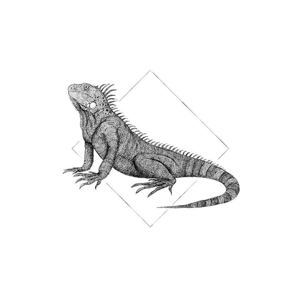 Komar Poster »Iguana White«, Tiere, (1 St.)