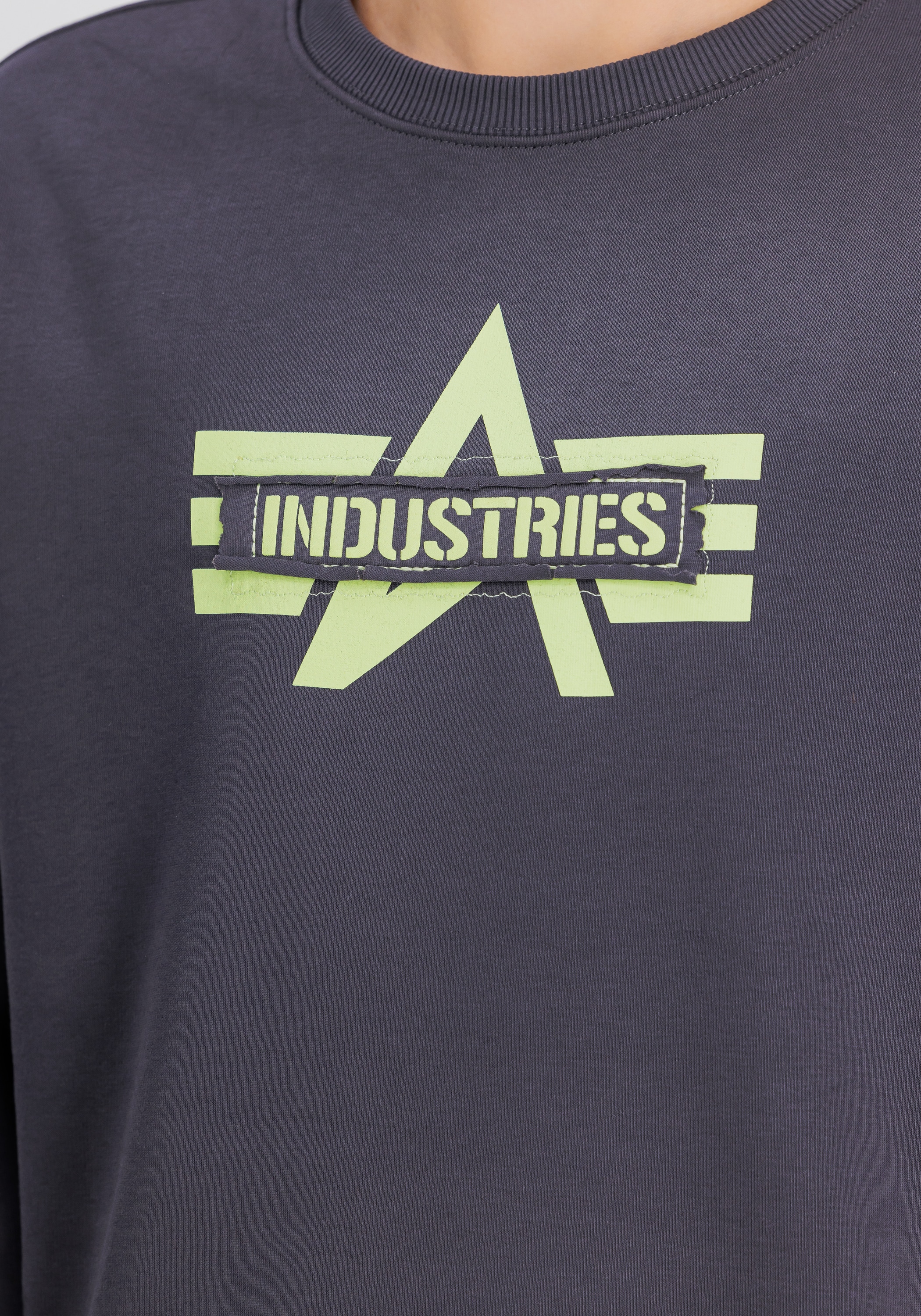 Alpha Industries Sweater »Alpha Industries Men - Sweatshirts Logo Edge Sweatshirt«