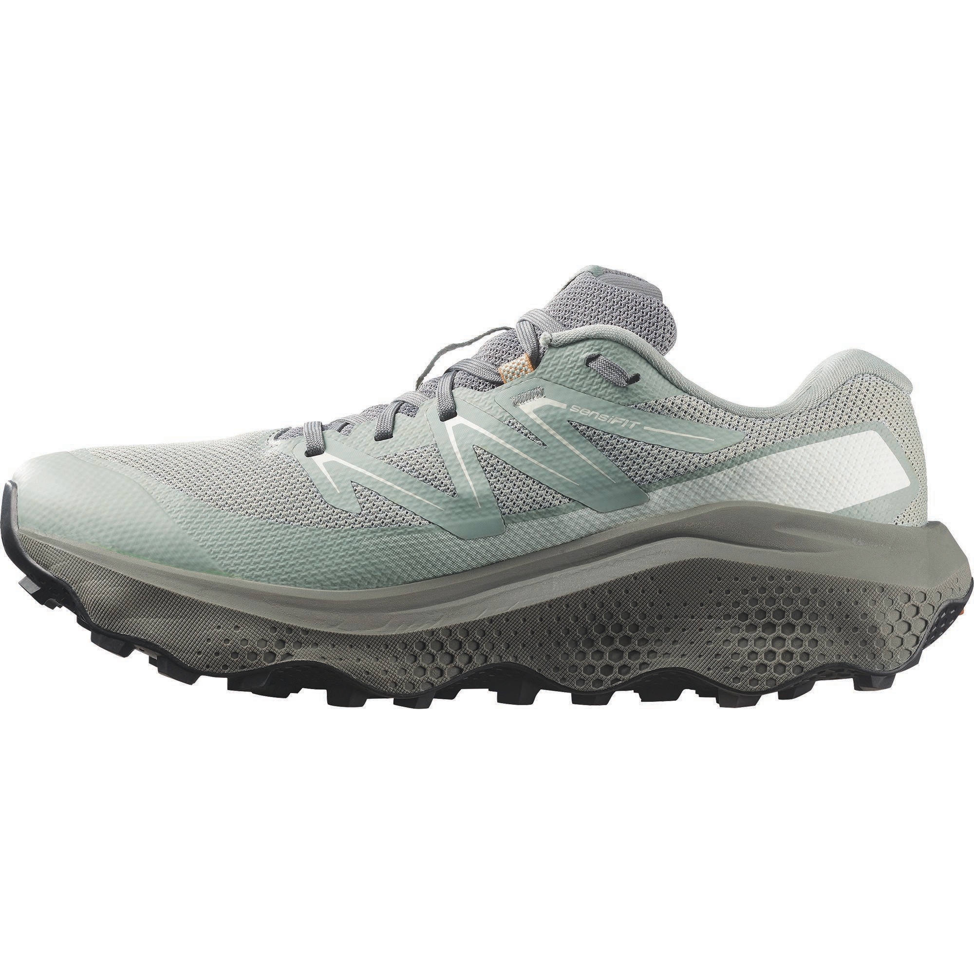 Salomon Trailrunningschuh »ULTRA FLOW 2 GTX«  wasserdicht