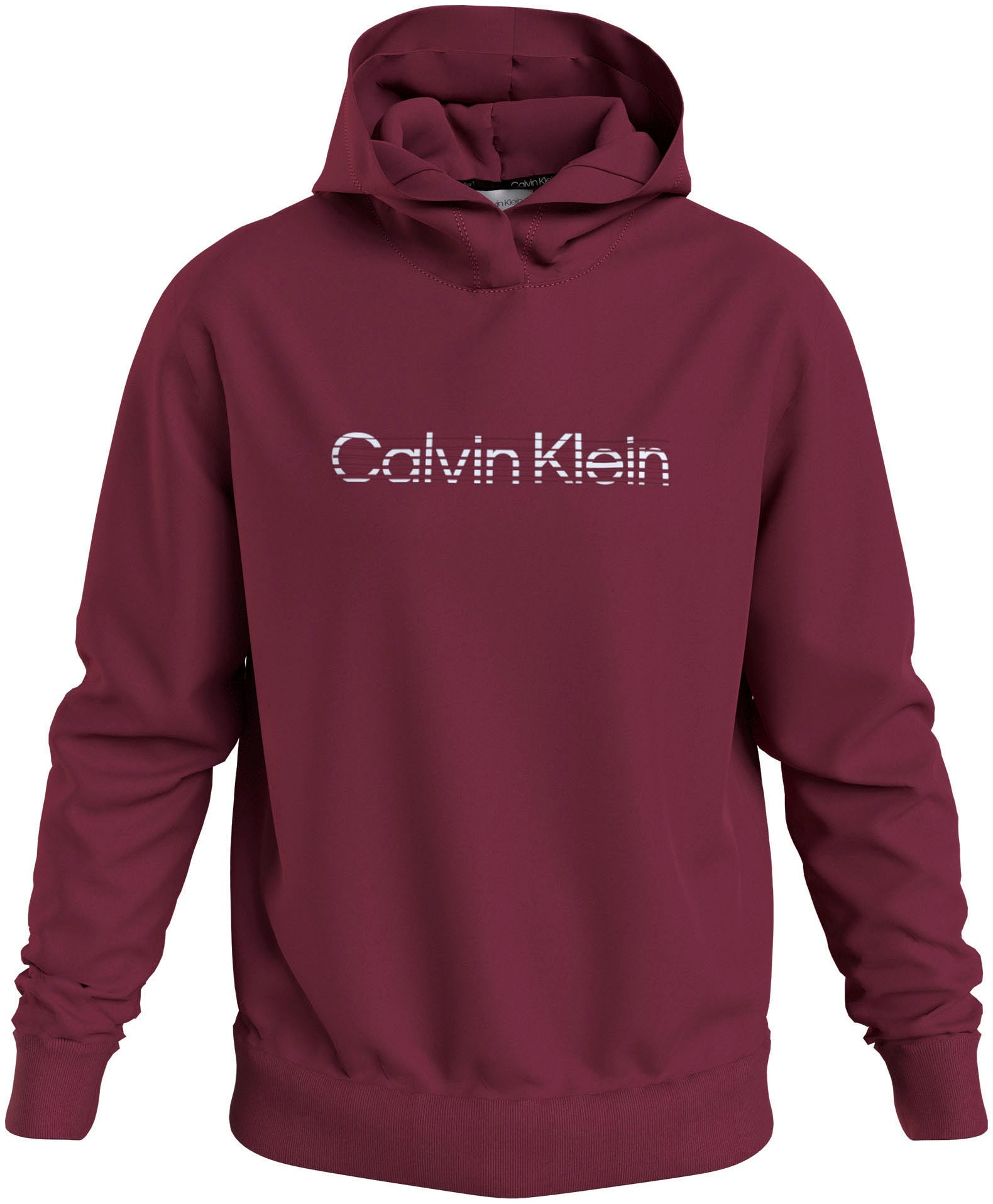 Calvin Klein Kapuzensweatshirt »DEGRADE LOGO HOODIE«