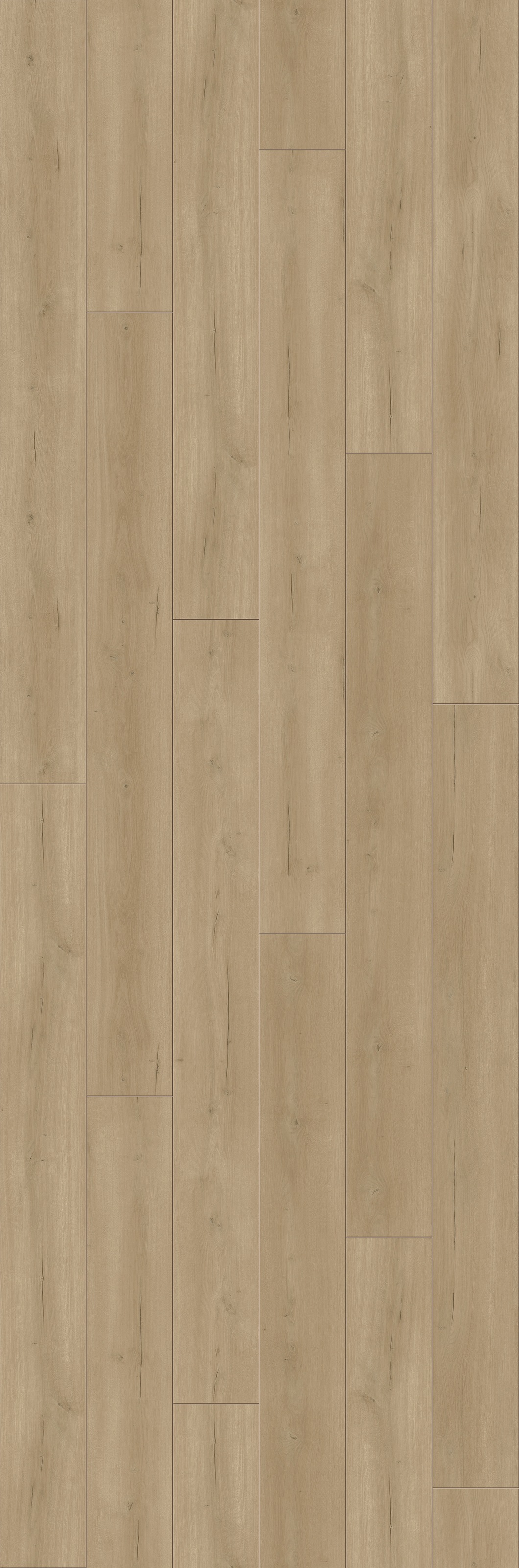PARADOR Laminat »Trendtime 6 - Eiche Loft Natur«, (Packung), spezielle Trägerplatte, 2200 x 243 mm, Stärke: 9 mm