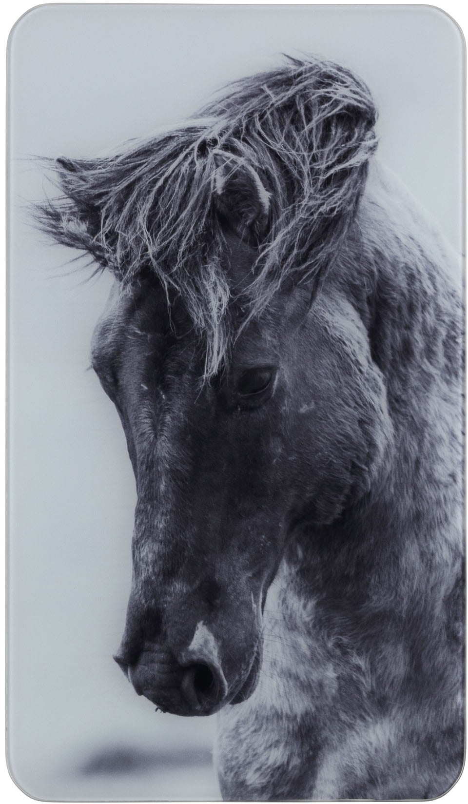 WENKO Herd-Abdeckplatte »Horses«, (Set, 2 tlg.), für alle Herdarten