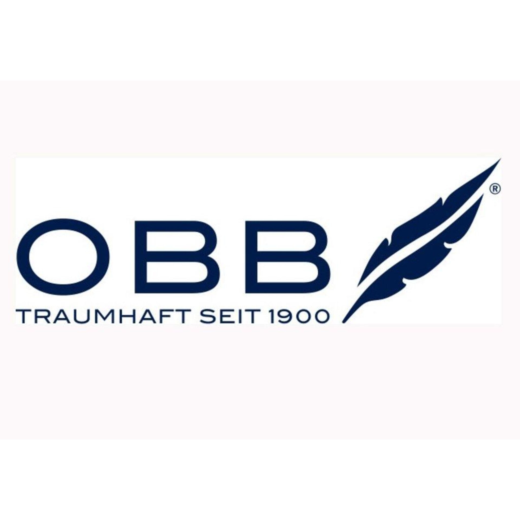 OBB Daunenbettdecke »Just Dream«, warm, Füllung 70% Federn, 30% Daunen, Bezug 100% Baumwolle, (1 St.)