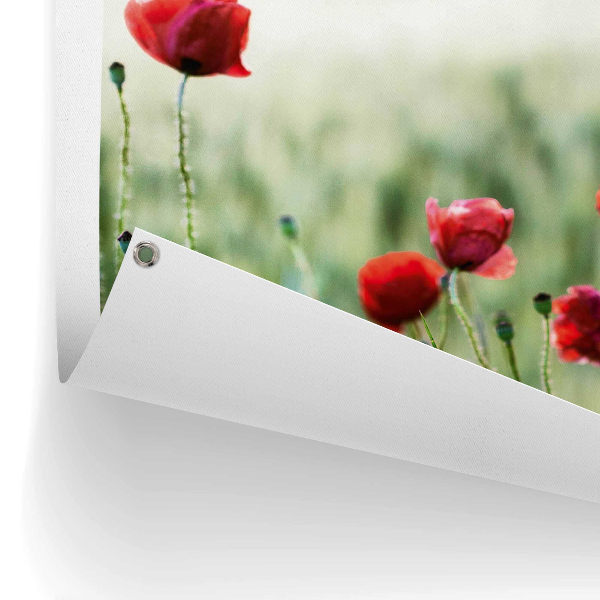 Reinders! Poster »Mohnblüten«, Outdoor für Balkon Shop oder Garten Online OTTO im