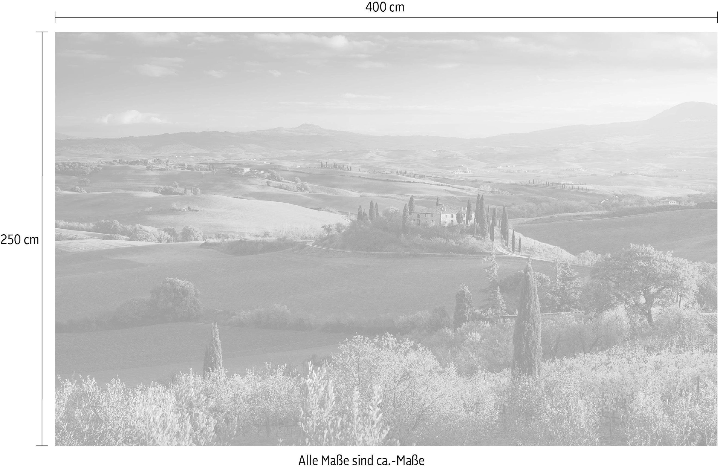 Komar Vliestapete »Digitaldruck Vlies -  Toskanagold - Größe 400 x 250 cm« bedruckt glatt Wohnzimmer, Schlafzimmer