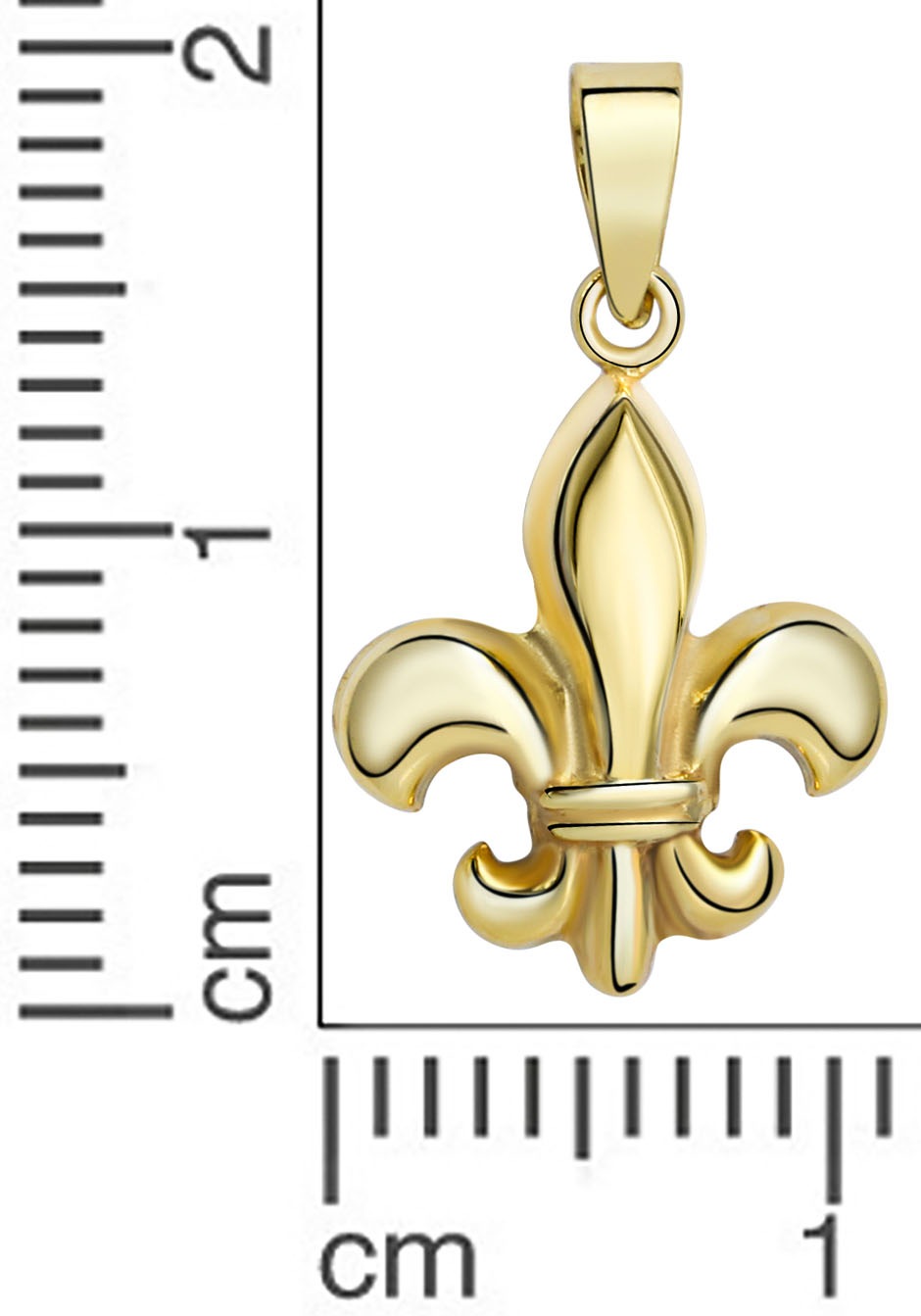 Firetti Kettenanhänger »Schmuck Geschenk Gold 333 Halsschmuck Anhänger Halskette Fleur de lys« ()