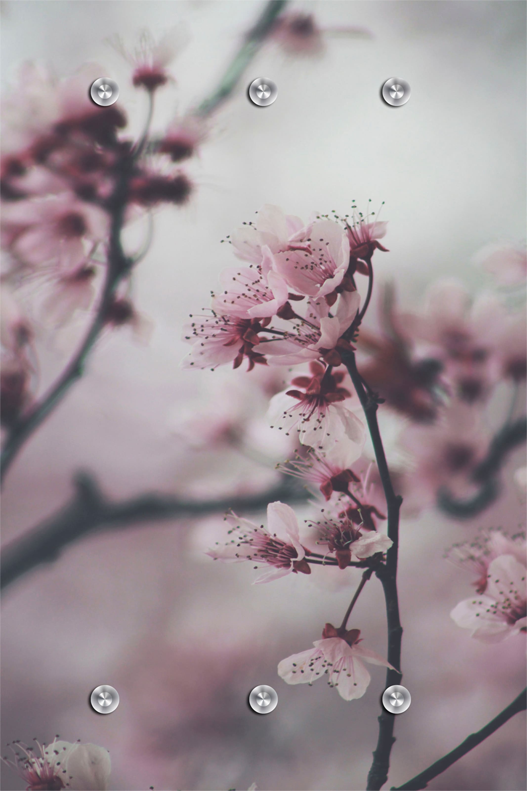 Queence Garderobenleiste »Blumen« mit 6 Haken in rosa, Größe B/H/T: 80 cm x 120 cm x 5 cm