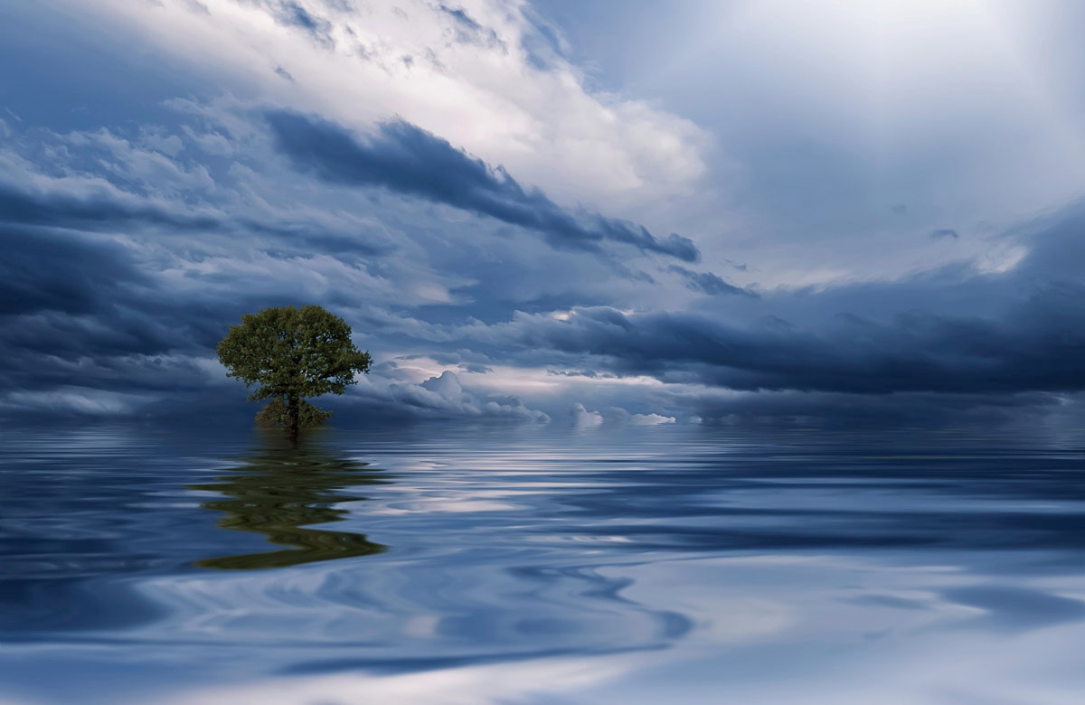 Fototapete »MEER WOLKEN-BAUM BEACH STRAND PANORAMA HIMMEL WELLEN«