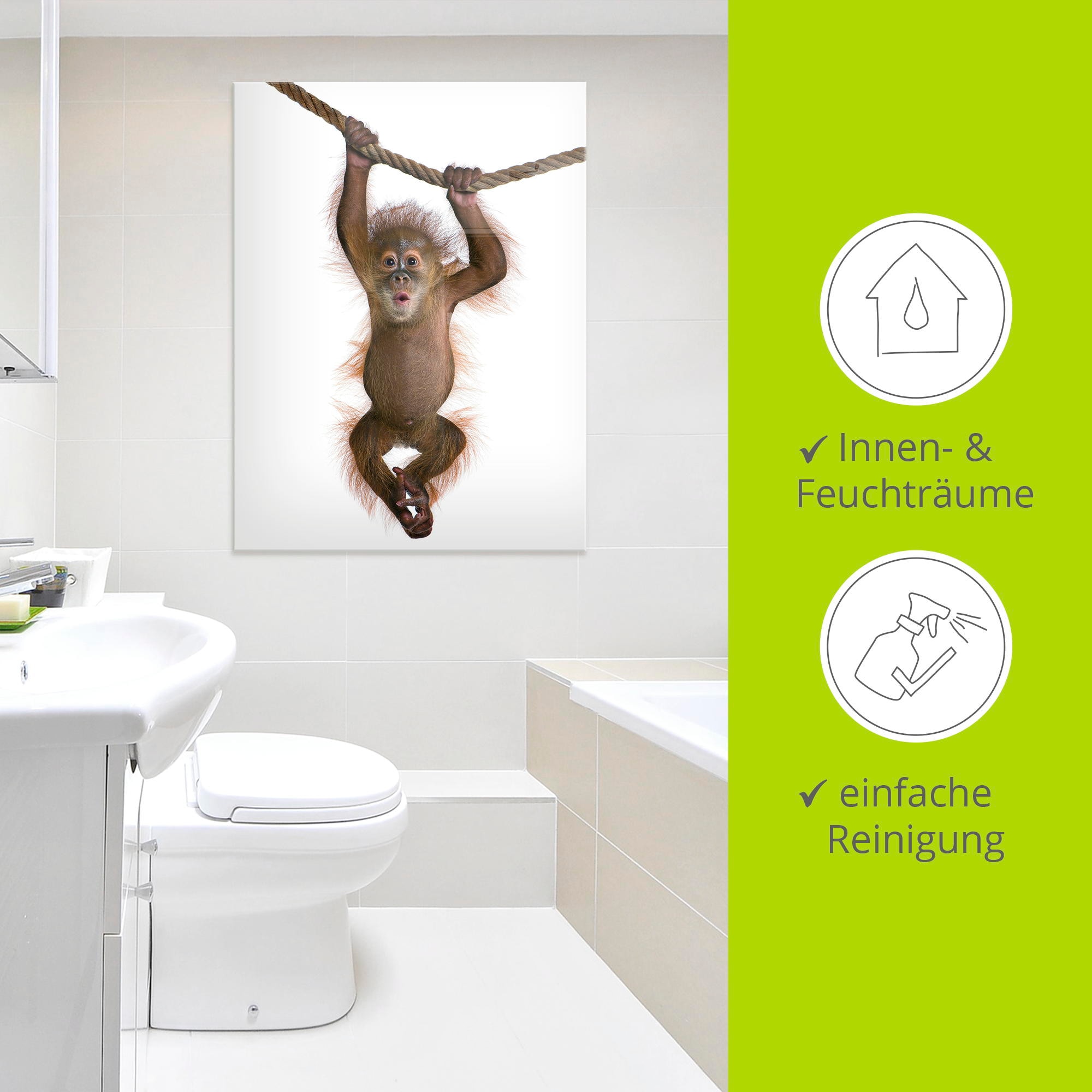 Artland Glasbild »Baby Orang Utan hängt an Seil II«, Wildtiere, (1 St.), in verschiedenen Größen
