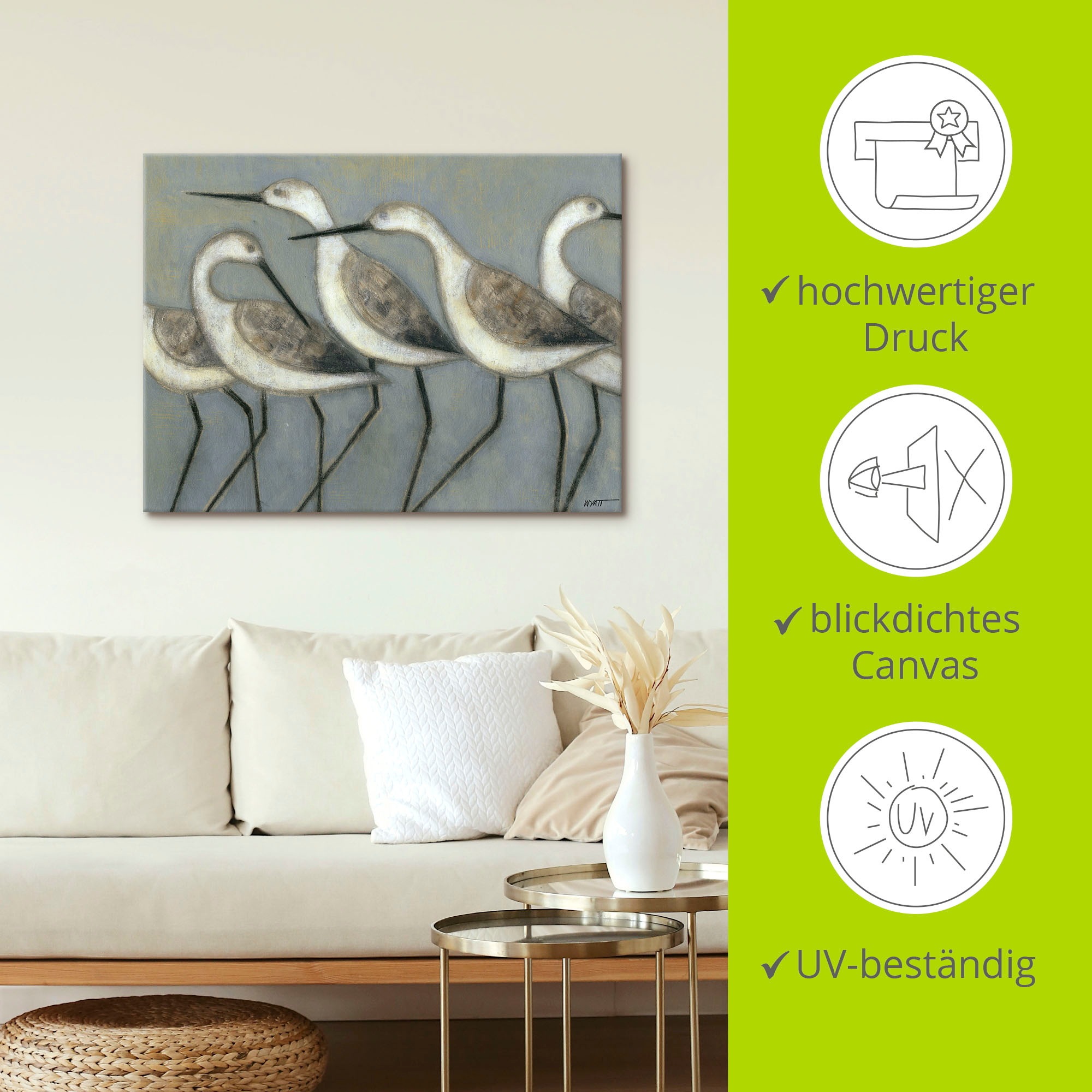 Artland Wandbild »Küstenvögel I«, Vögel, (1 St.), als Alubild, Outdoorbild, Leinwandbild, Poster in verschied. Größen