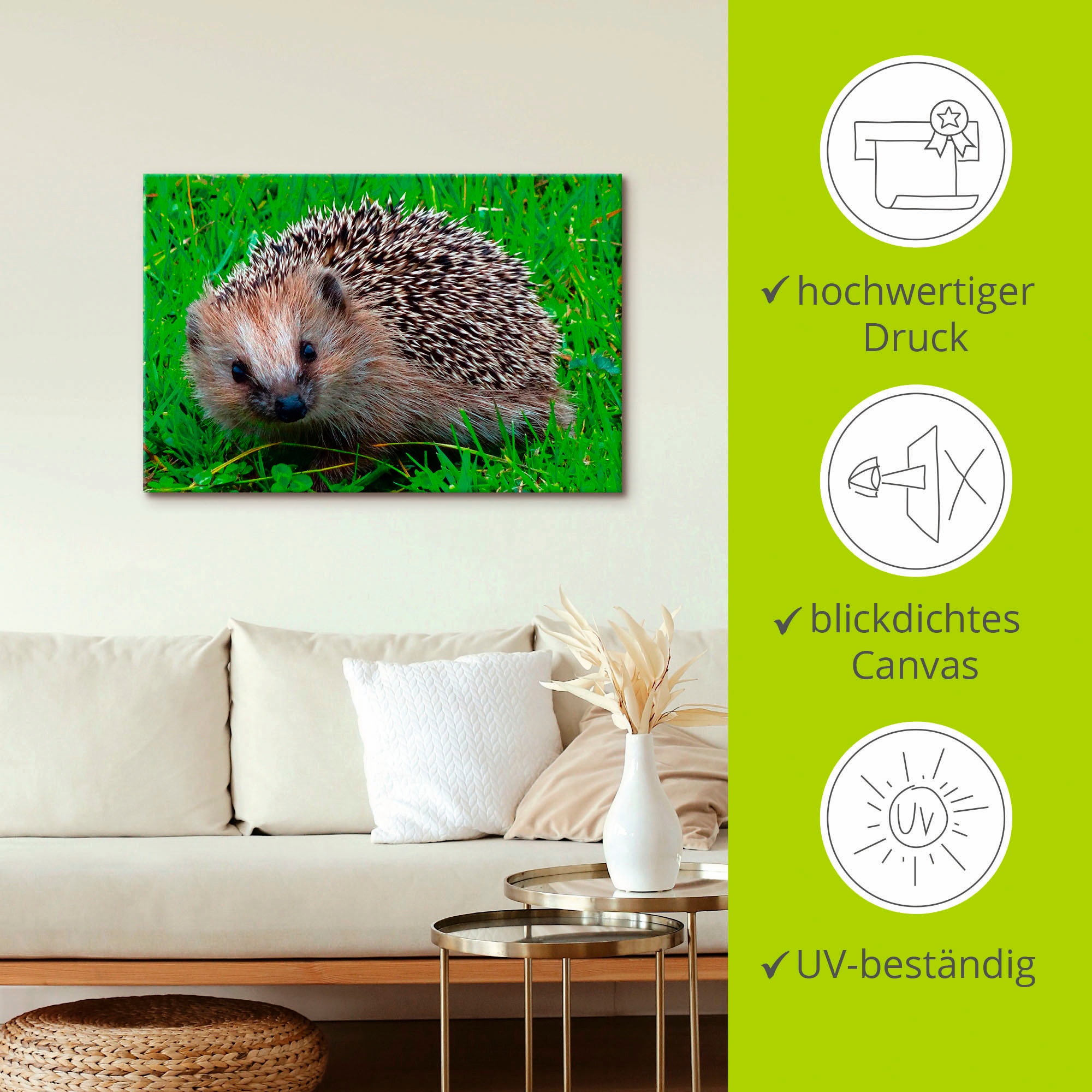 Artland Leinwandbild »Igel Blick«, Wildtiere, (1 St.), auf Keilrahmen gespannt