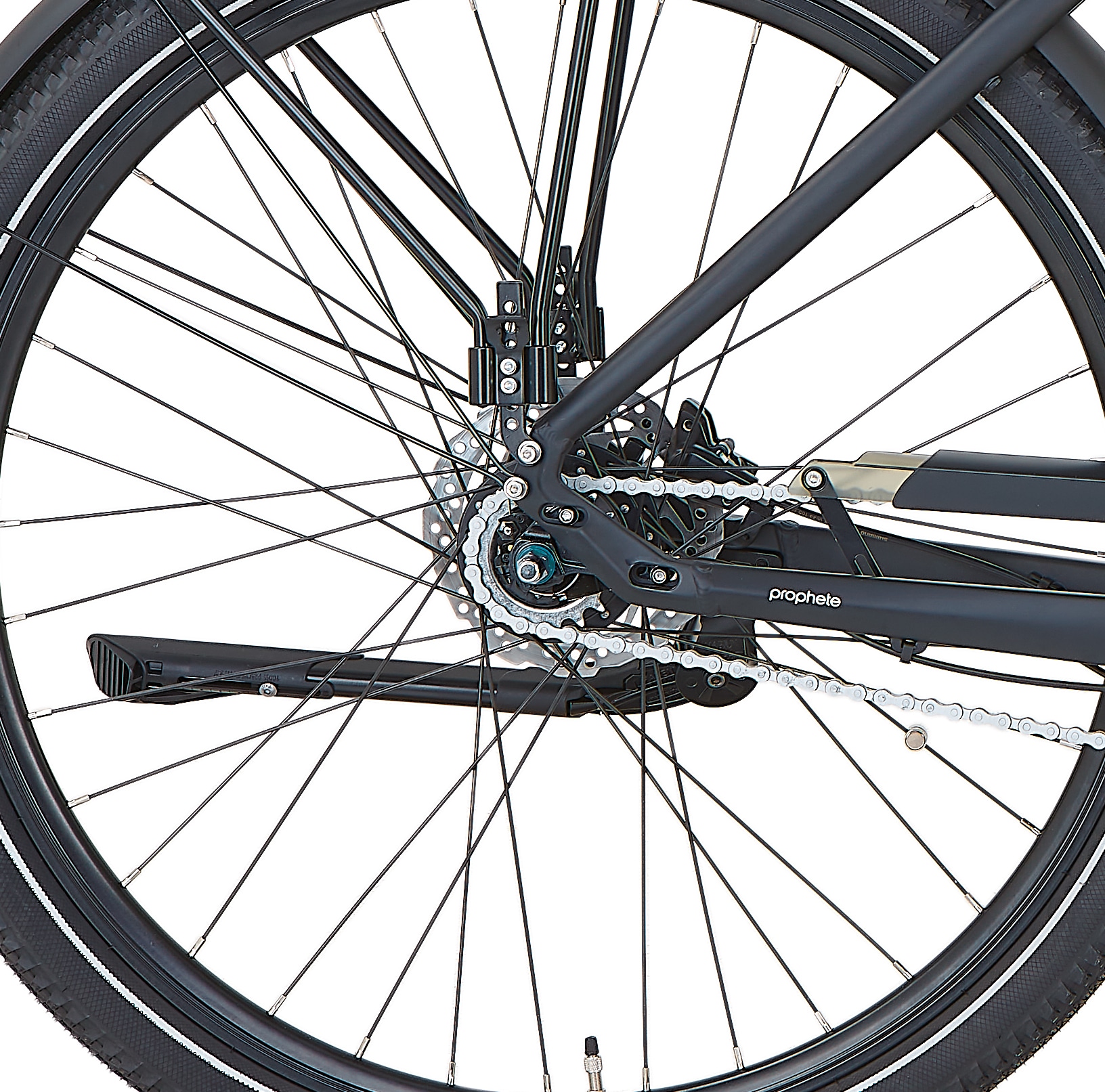 Prophete »Geniesser 4.8« 7 Gang Shimano Nexus Schaltwerk Nabenschaltung Mittelmotor 250 W Pedelec, Elektrofahrrad für Damen u. Herren