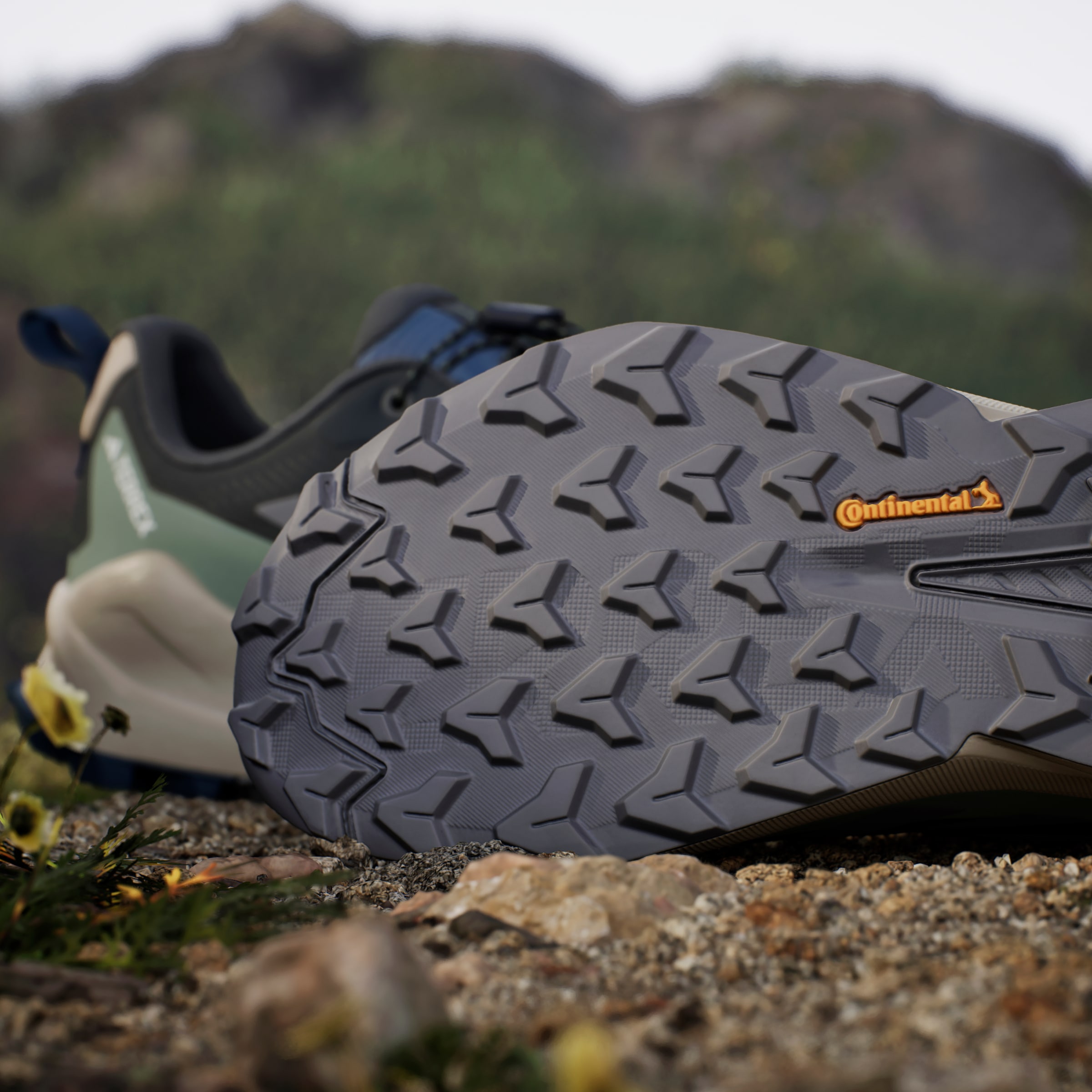 adidas TERREX Wanderschuh »TERREX TRAILMAKER 2 GORE-TEX SPEED LACE«