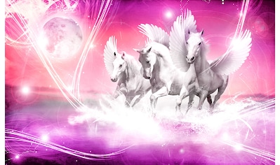 Consalnet Fototapete »Weißer Pegasus«, Motiv kaufen