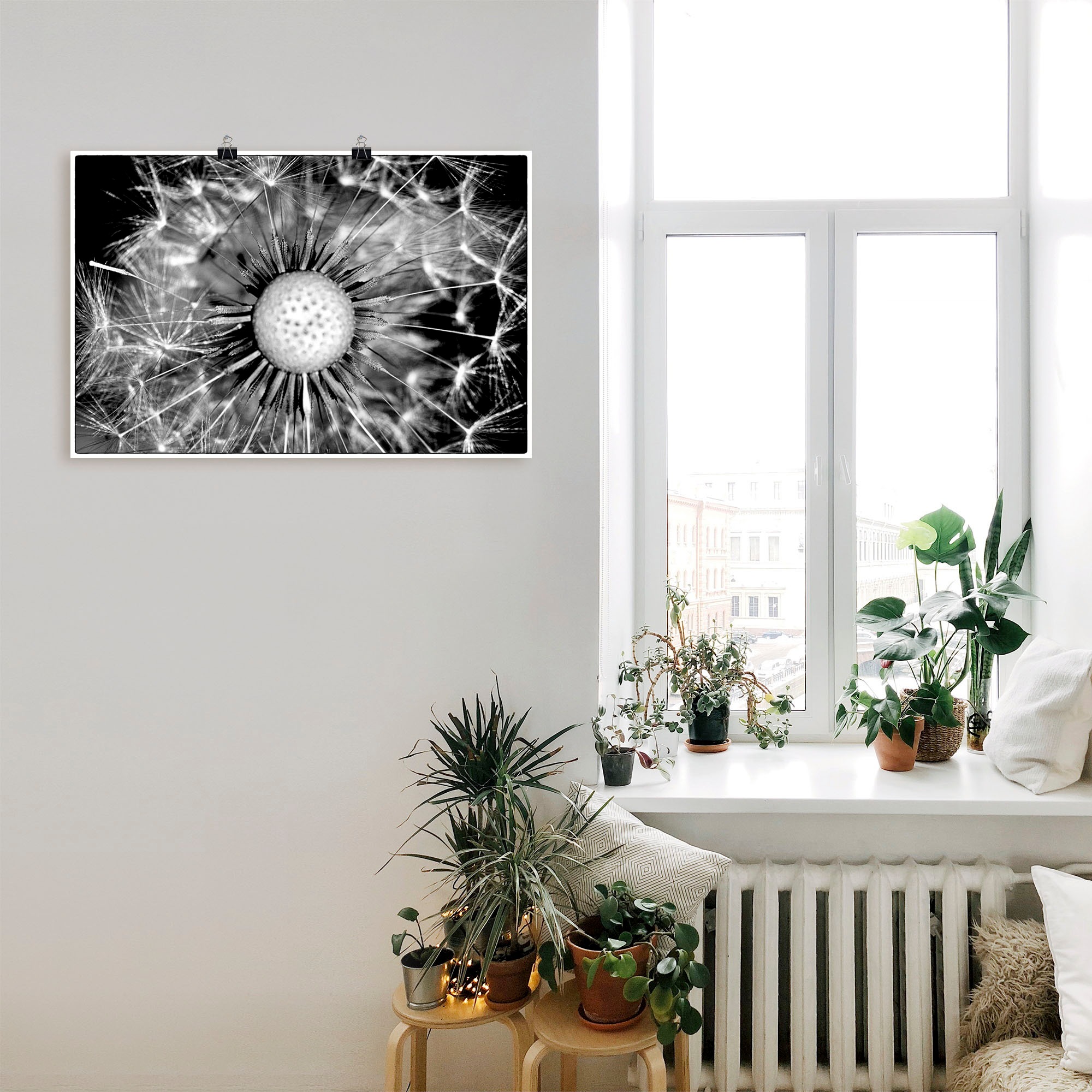 Artland Wandbild »Pusteblume«, Blumen, (1 St.), als Alubild, Leinwandbild, Wandaufkleber oder Poster in versch. Größen