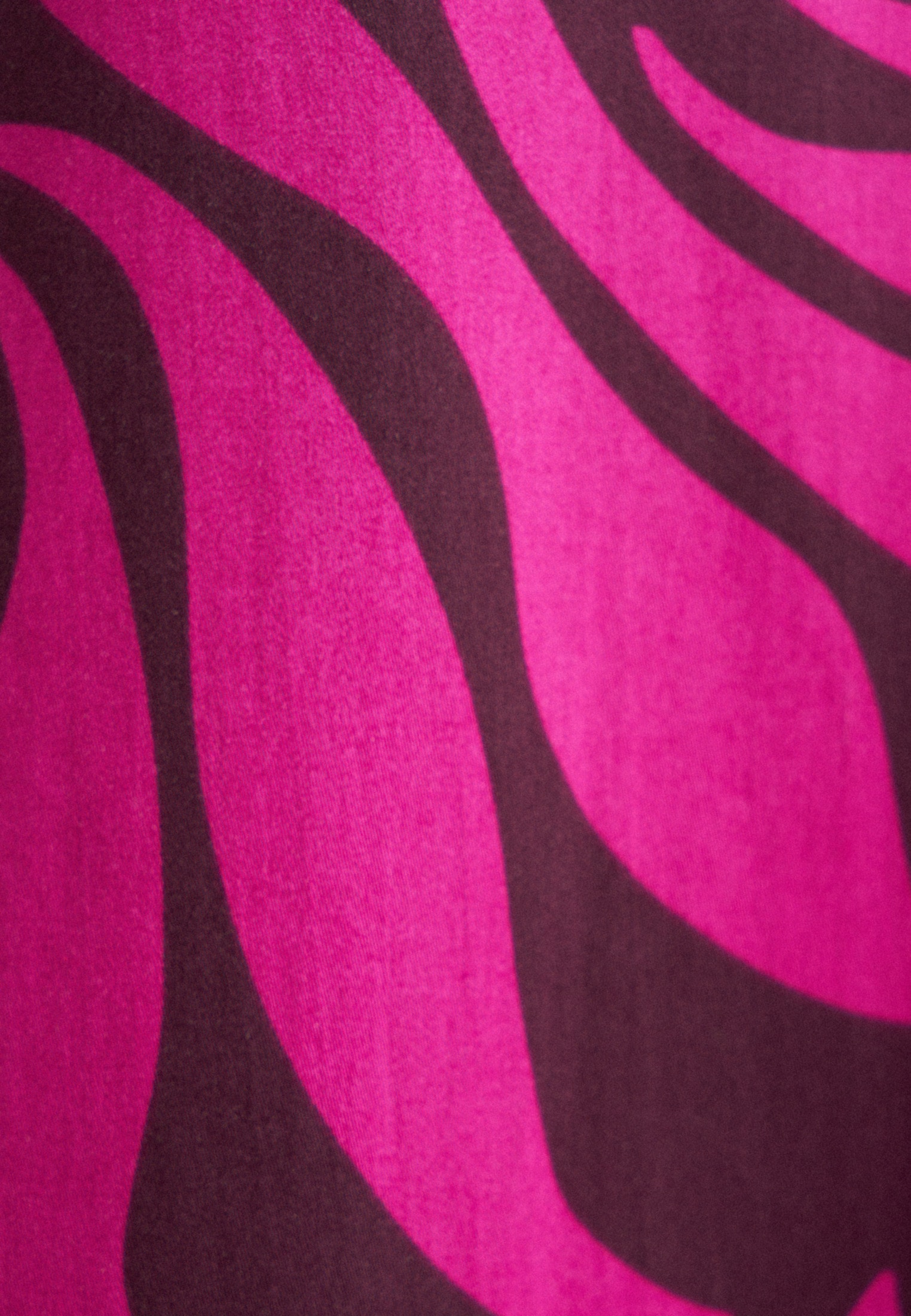 seidensticker Sommerkleid »Schwarze Rose«, Langarm Kragen Druck