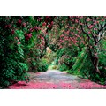 Komar Fototapete »Wicklow Park«, bedruckt-floral-Wald, ausgezeichnet lichtbeständig