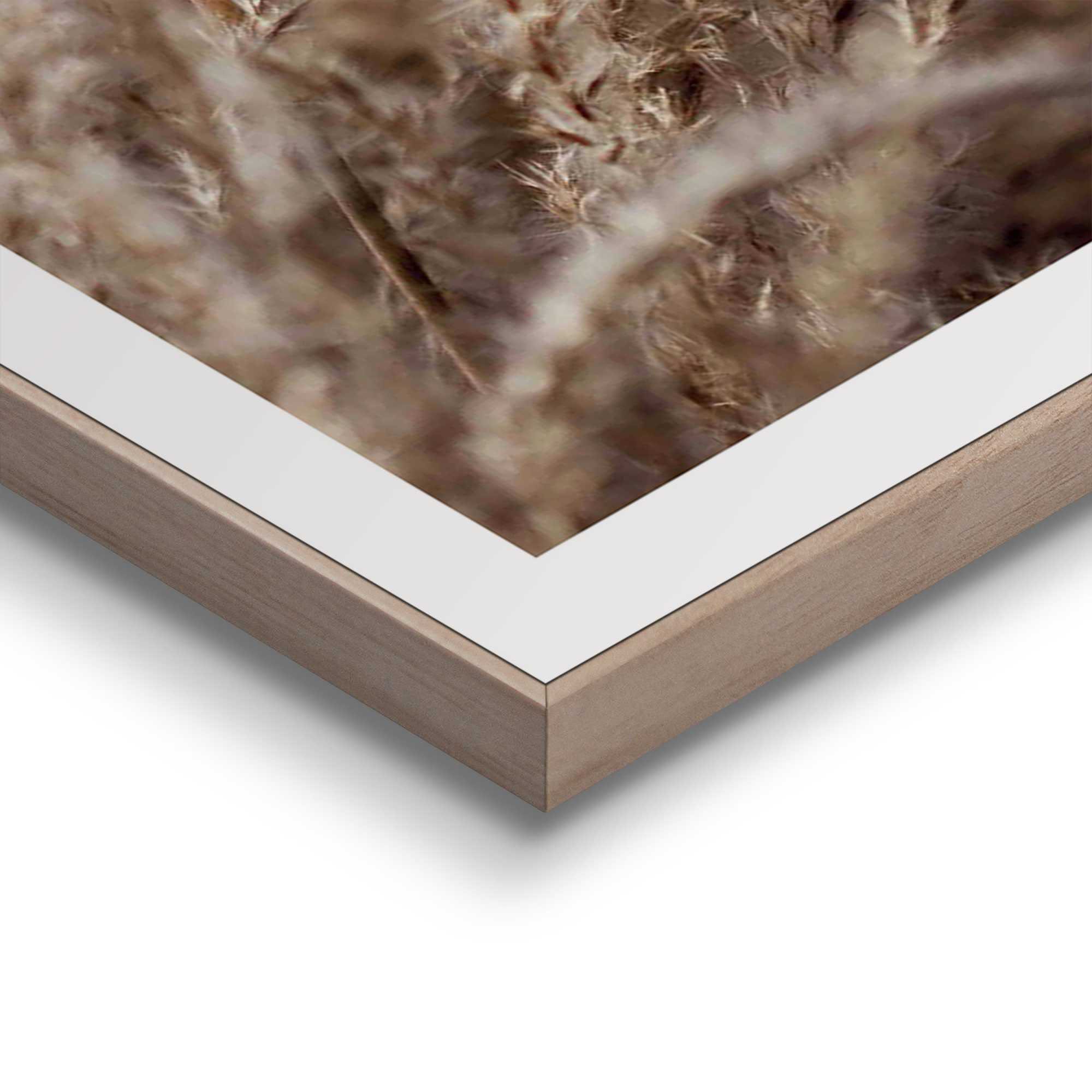Reinders! Kunstdruck »Gras«