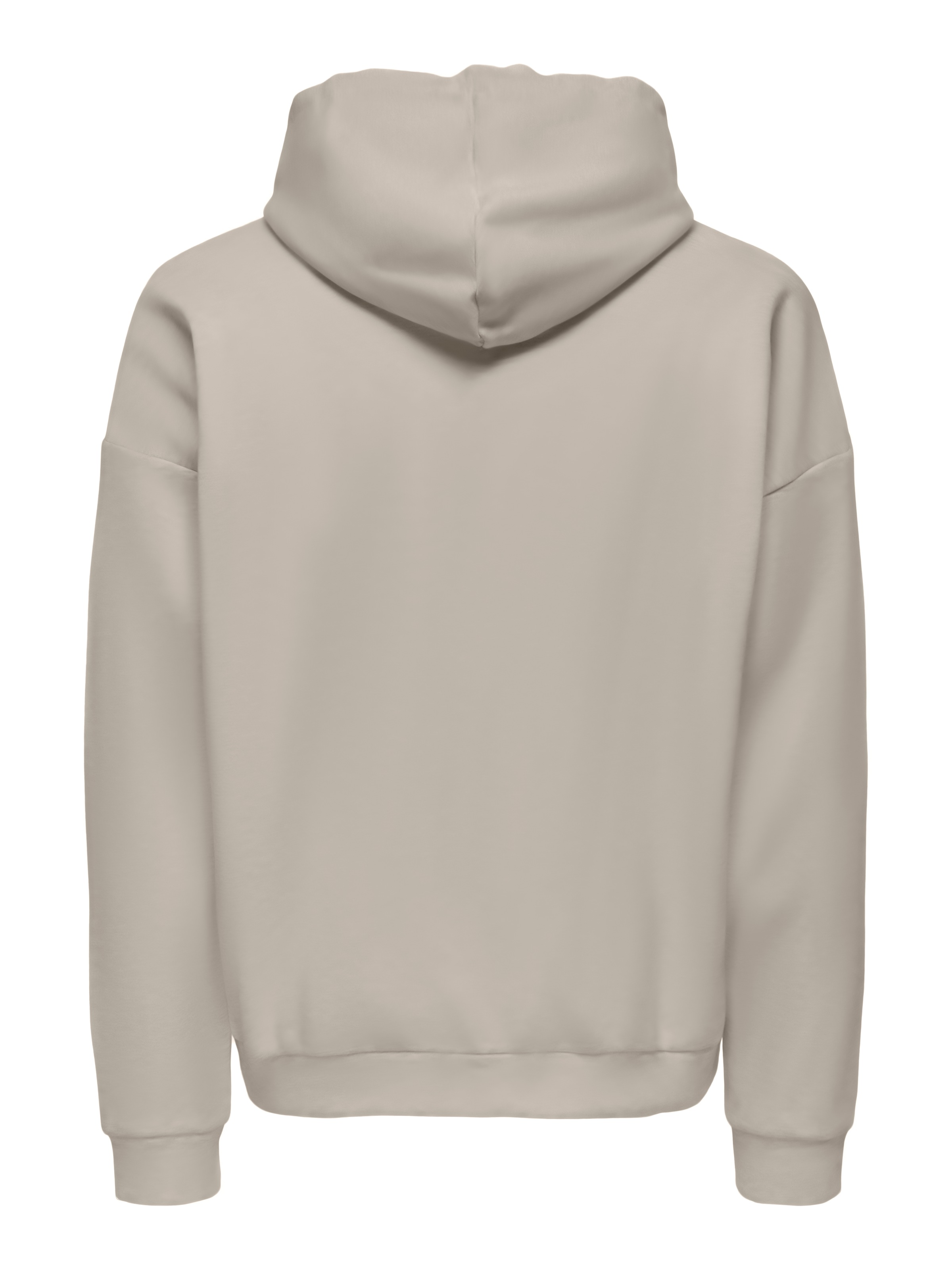 ONLY & SONS Kapuzensweatshirt »ONSCHASE REG ZIP HOOD OTL«
