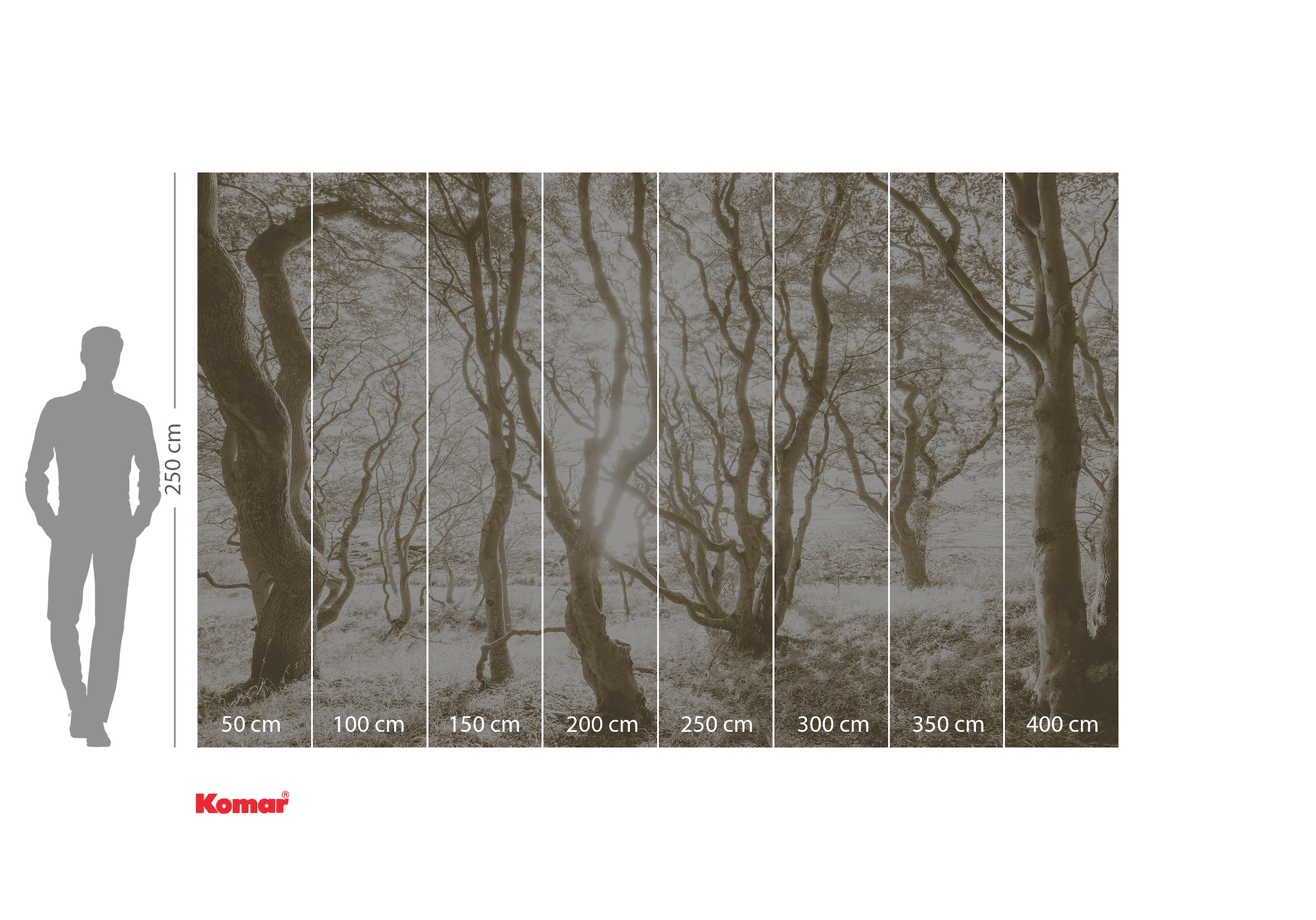 Komar Fototapete »Digitaldruck Vlies -  Bleached Birch - Größe 400 x 250 cm« bedruckt | floral | geblümt | gemustert | tropisch glatt Wohnzimmer, Schlafzimmer