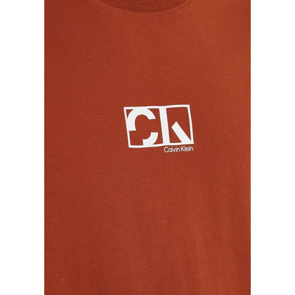 Calvin Klein T-Shirt »GRAPHIC BOX LOGO T-SHIRT«