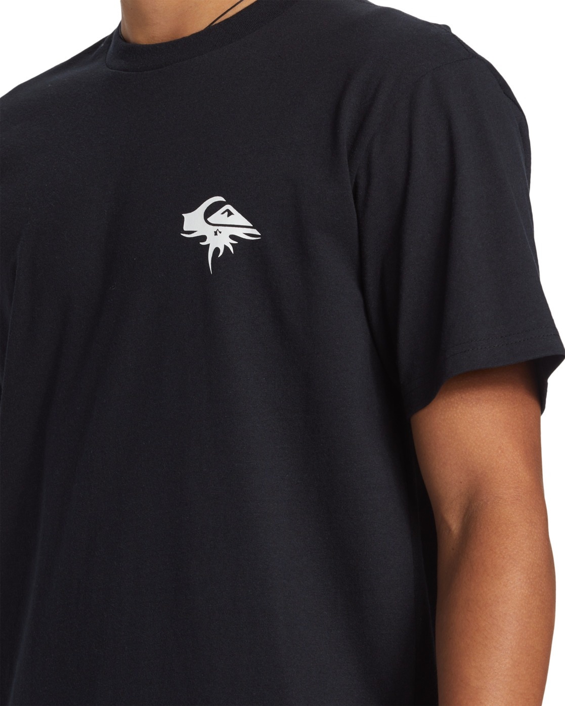 Quiksilver T-Shirt »QS Thorn Logo DNA«