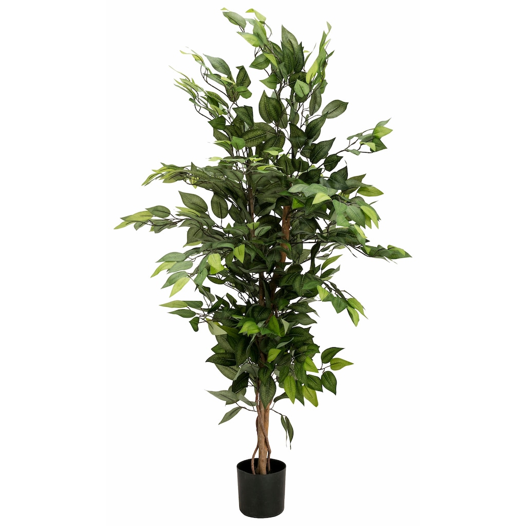 Creativ green Kunstpflanze »Ficus Benjamini«