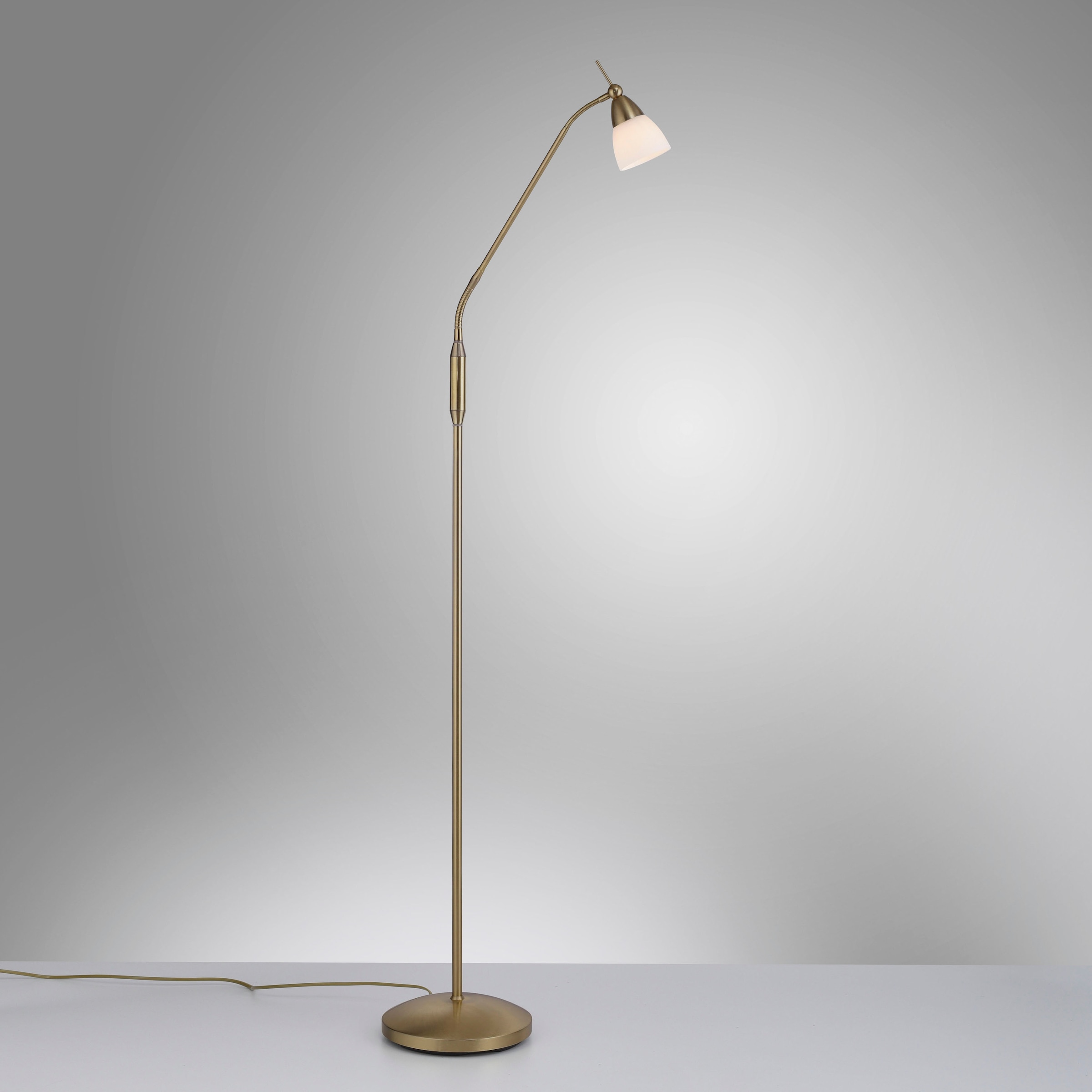 Paul Neuhaus Stehlampe »PINO«, 1 flammig, Leuchtmittel G9 | LED wechselbar
