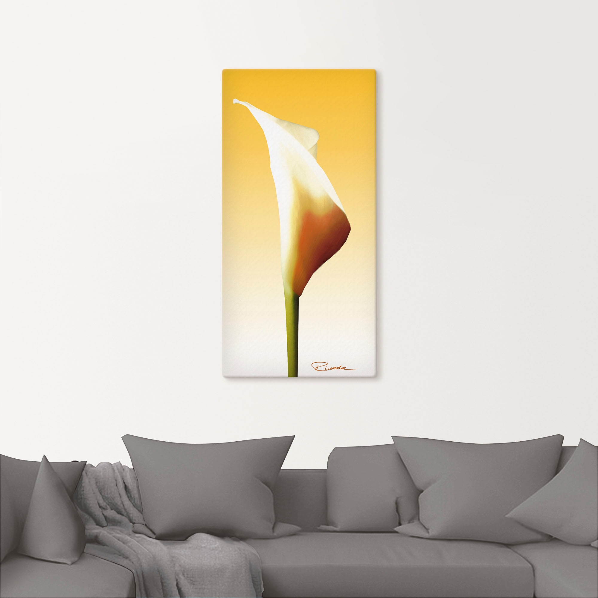 Artland Leinwandbild »Sonnenschein Calla I«, Blumenbilder, (1 St.), auf Keilrahmen gespannt