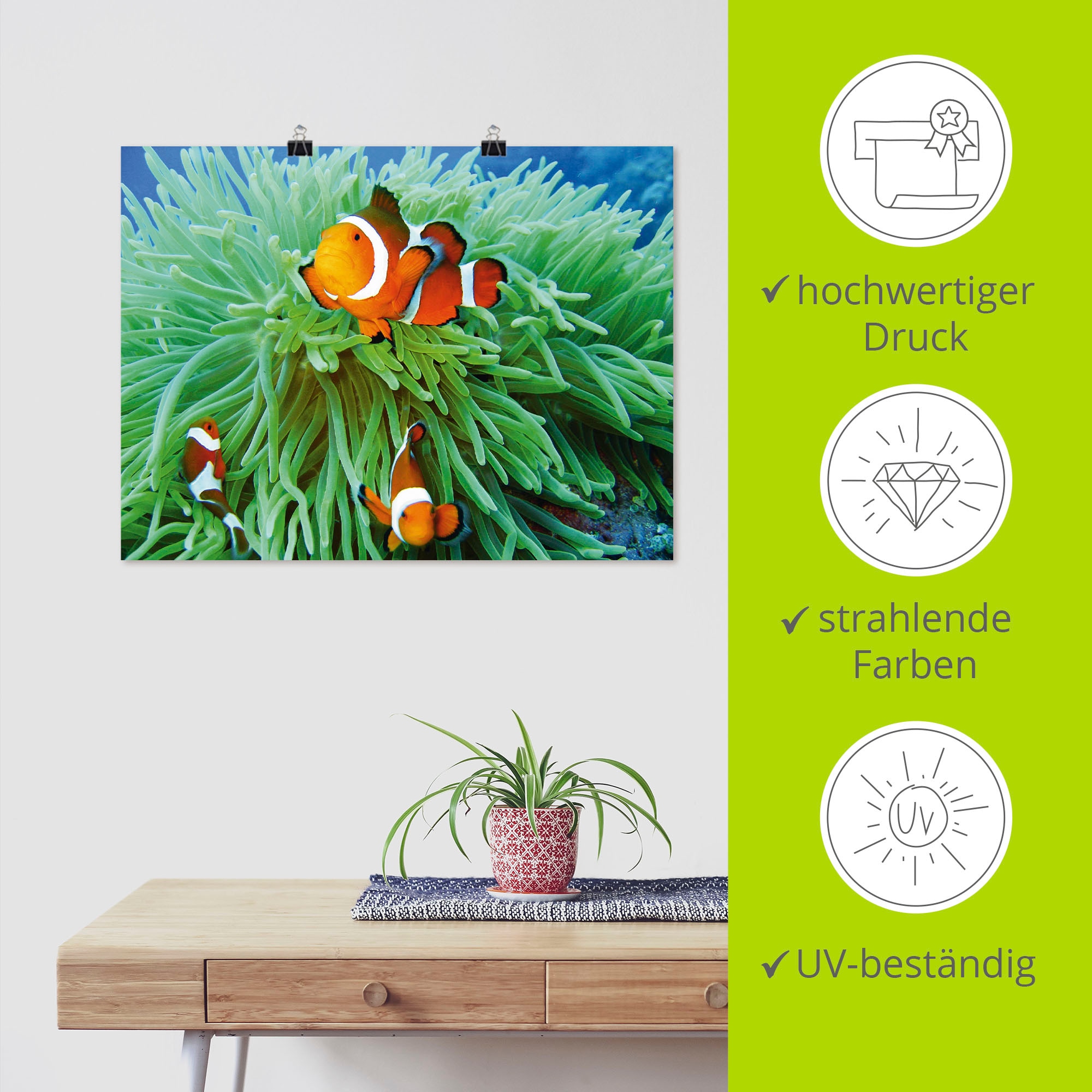 Artland Wandbild »Finde Nemo«, Wassertiere, (1 St.), als Poster, Wandaufkleber in verschied. Größen