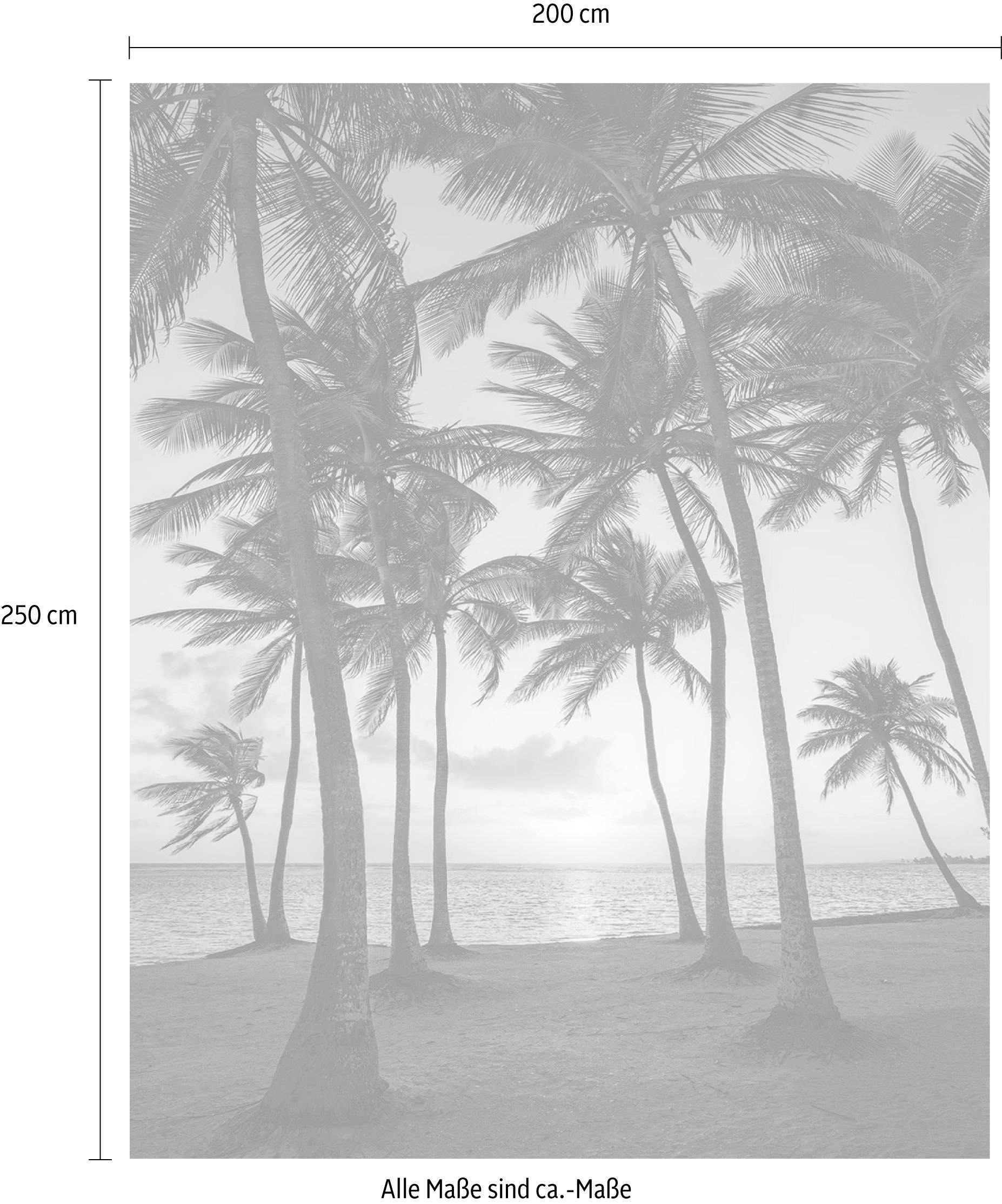 Komar Vliestapete »Digitaldruck Vlies - Palmtrees on Beach - Größe 200 x 250 cm«, bedruckt, Wohnzimmer, Schlafzimmer