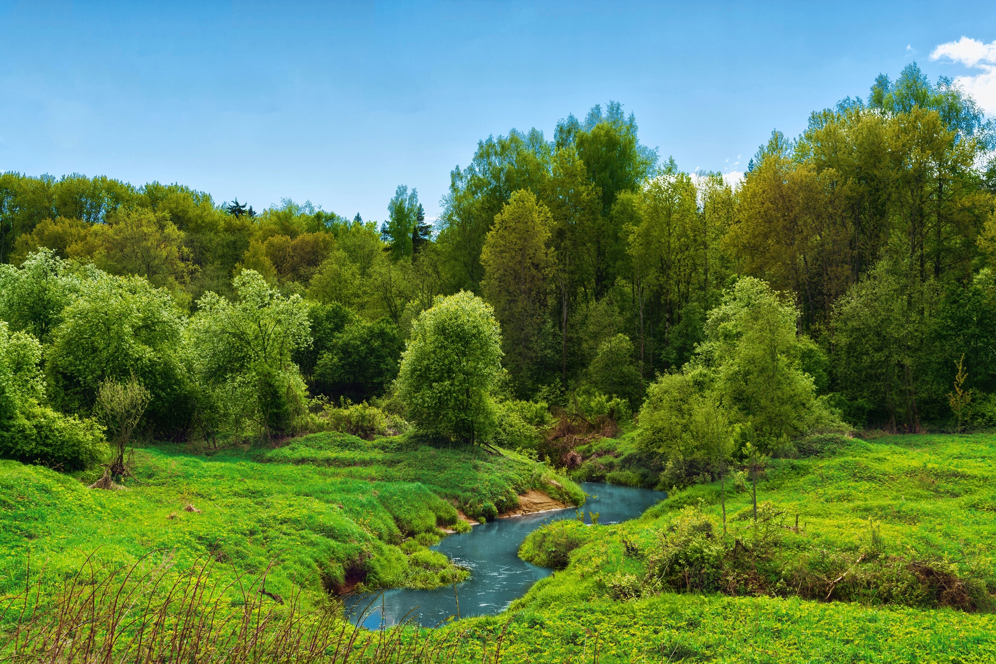 Fototapete »FLUSS IM WALD-BAUM NATUR DSCHUNGEL SONNE WEG WASSERFALL«