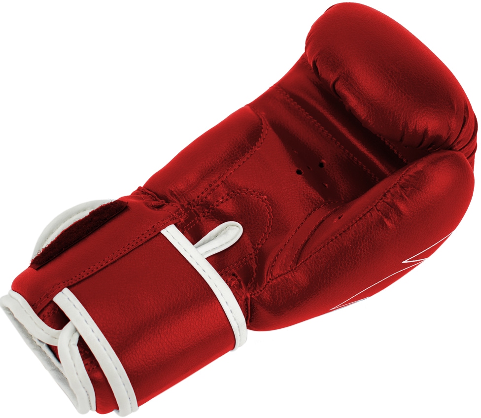 Super Pro Boxhandschuhe »Talent«