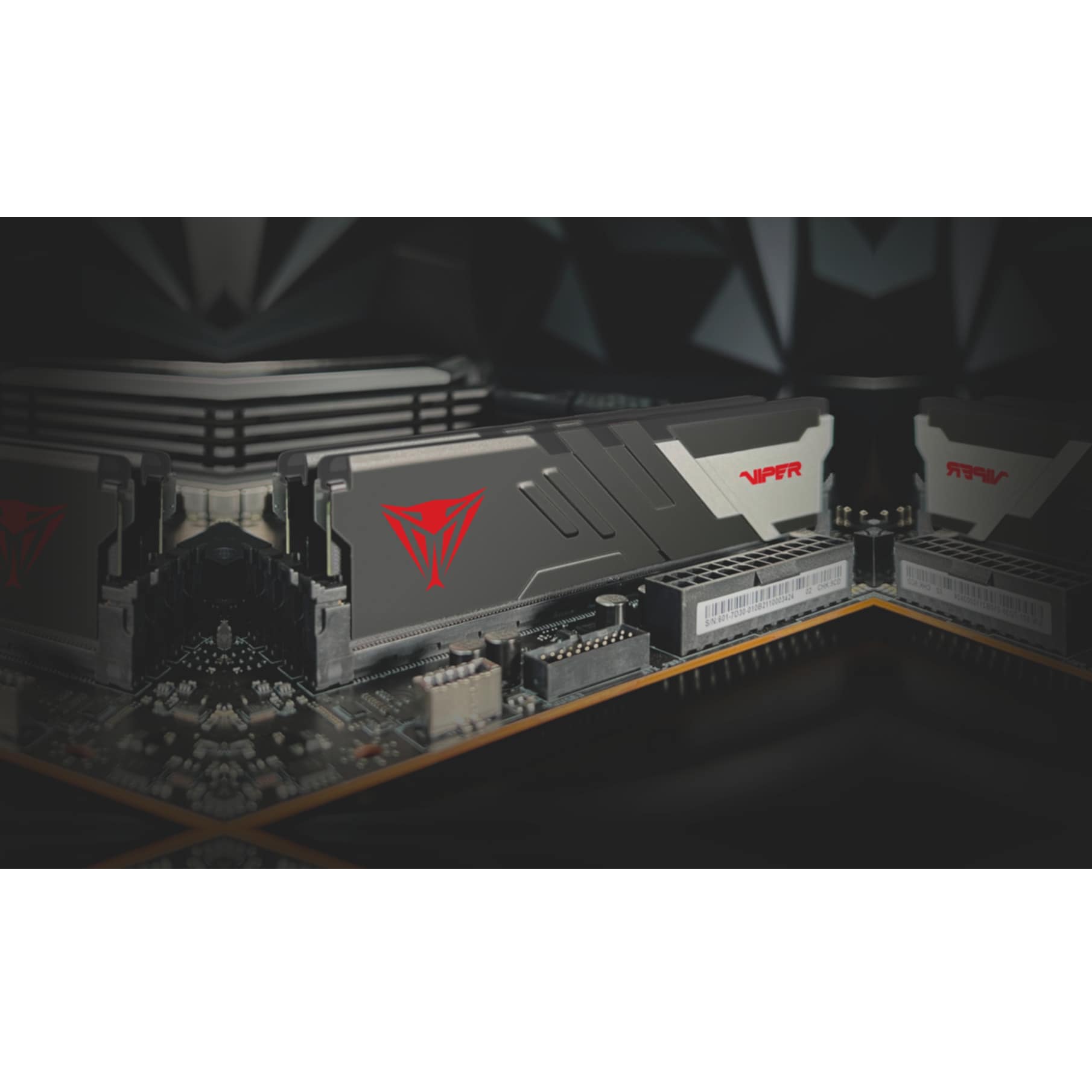 Patriot Arbeitsspeicher »Viper Venom«