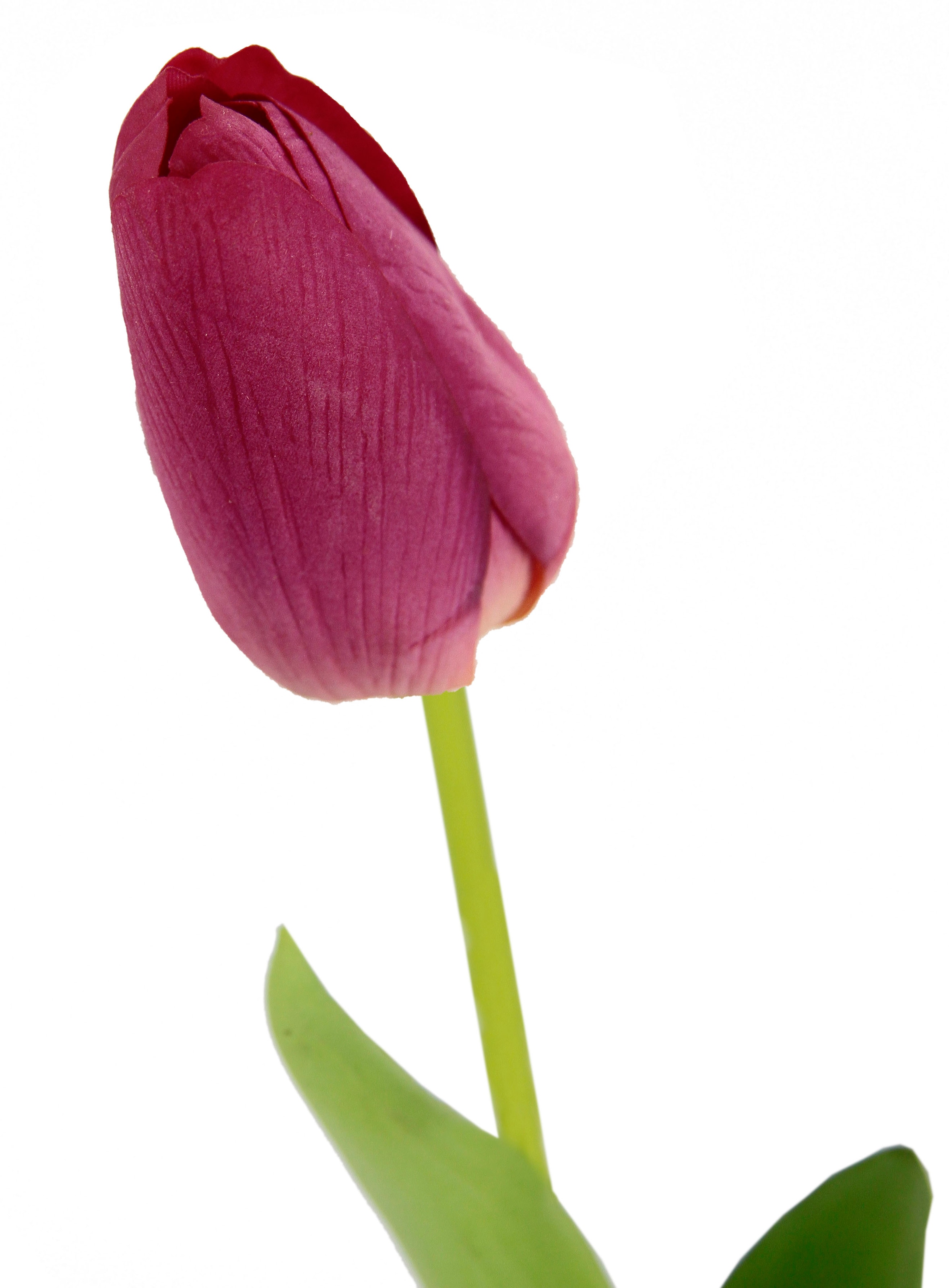 I.GE.A. Kunstblume »Real Touch Tulpen«, (5 St.), 5er Set künstliche  Tulpenknospen, Kunstblumen, Stielblume online bei OTTO