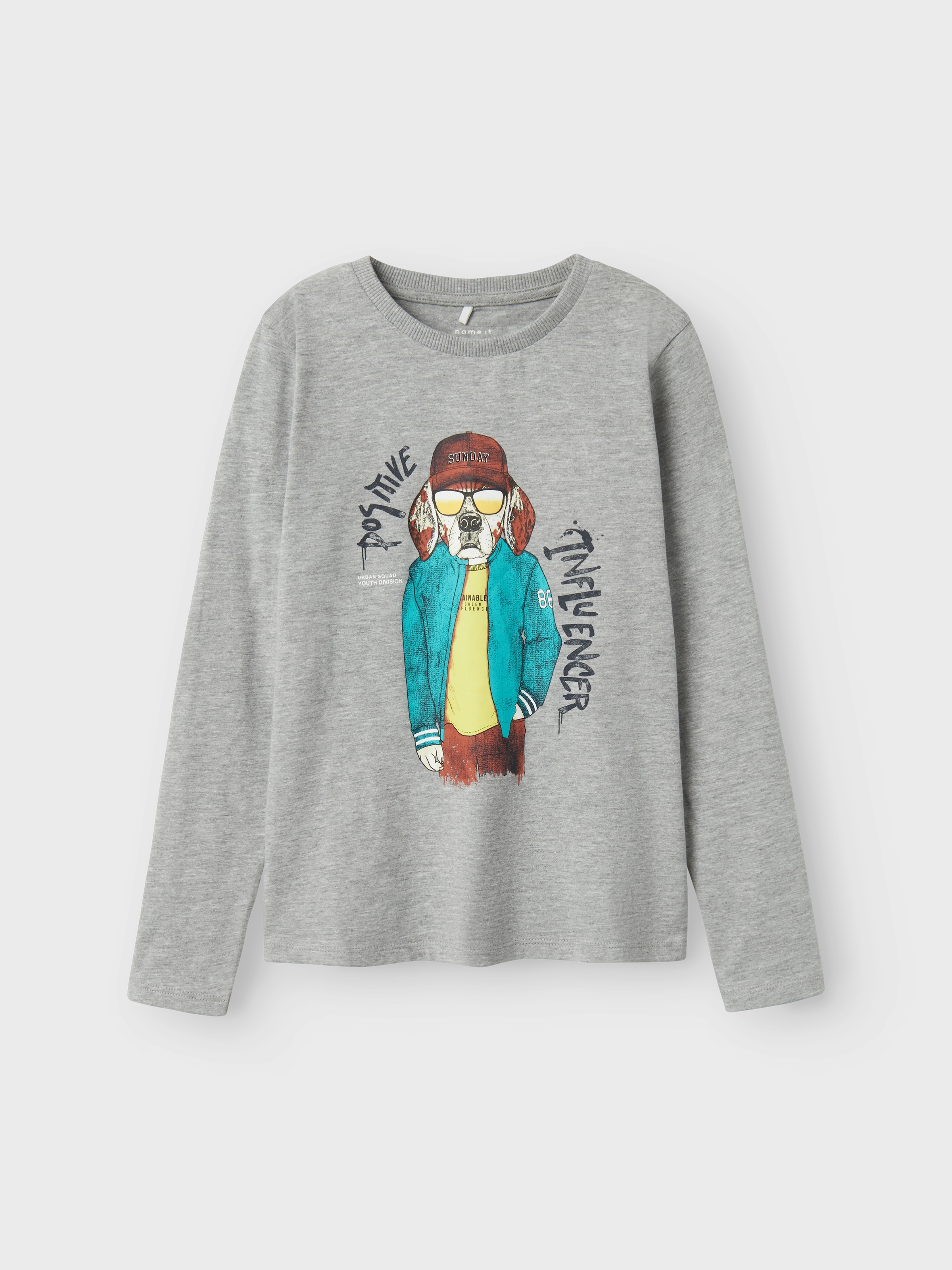 Name It Langarmshirt »NKMSEMONS LS NREG TOP«