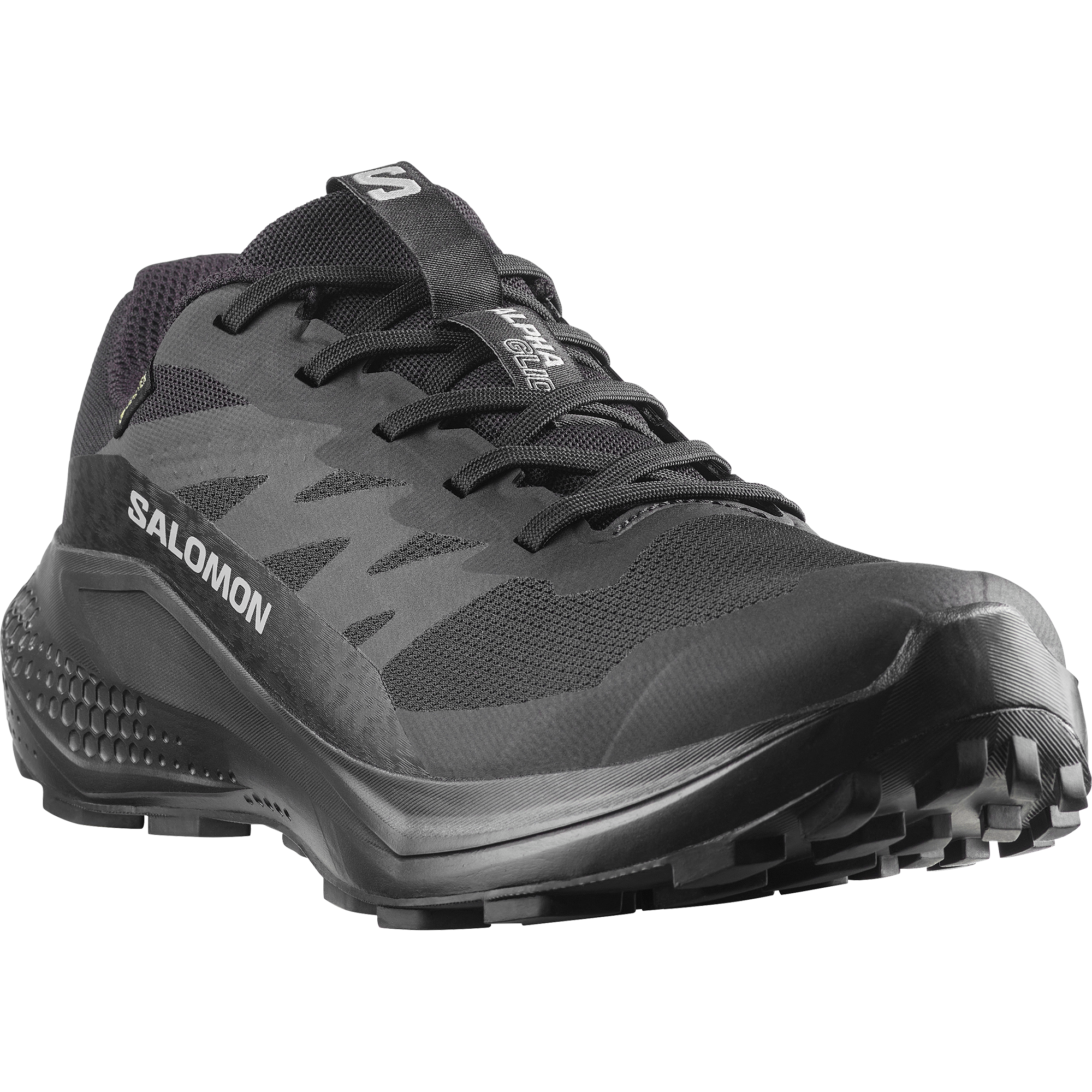 Salomon Trailrunningschuh »ALPHAGLIDE GORE-TEX® W«  wasserdicht