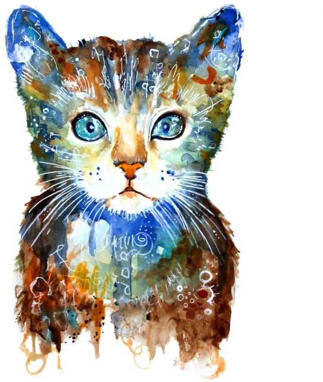 Wall-Art Wandtattoo »Lebensfreude - Kleine Katze«