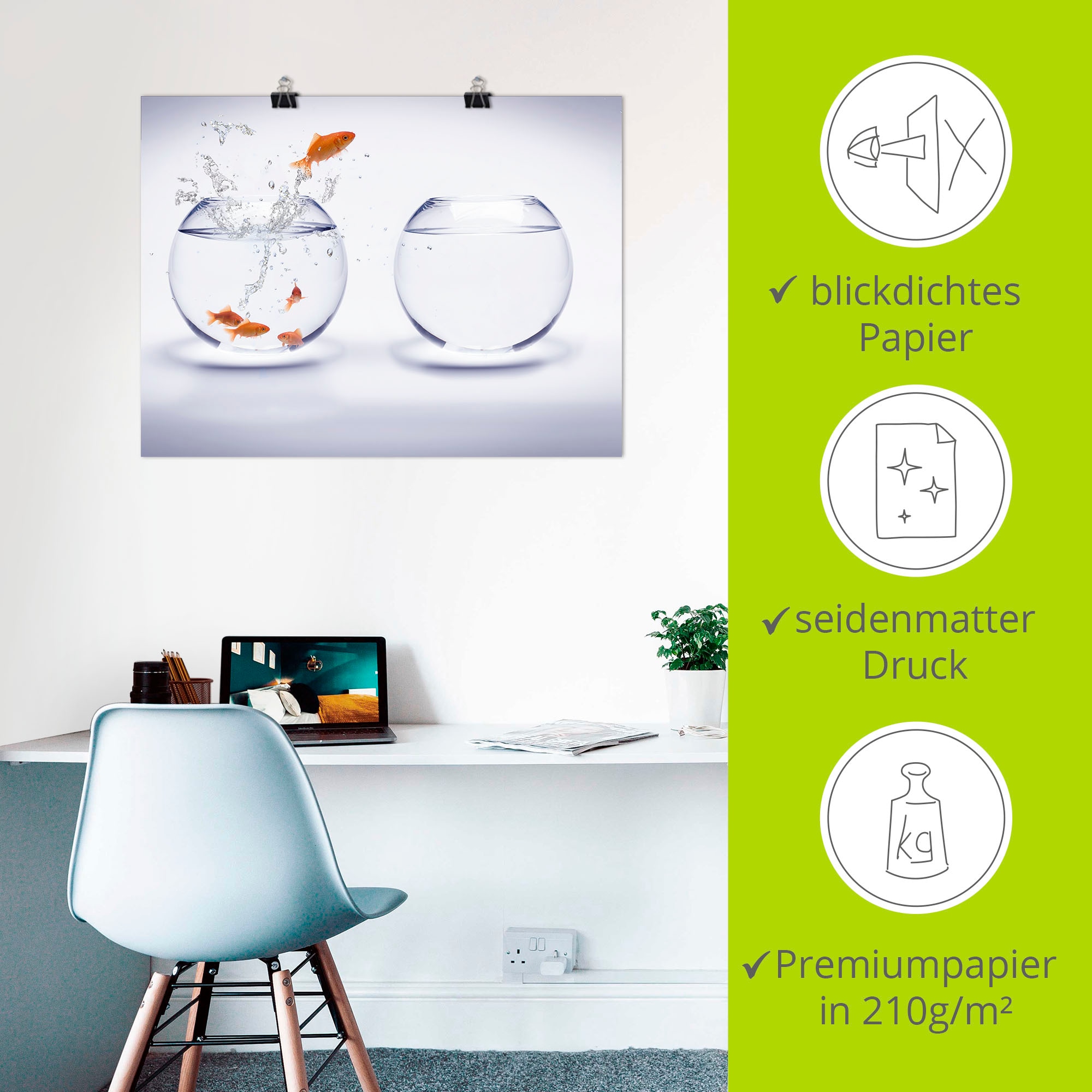 Artland Poster »Goldfischaquarium« Wassertiere 1 Stk. tlg. ohne Rahmen