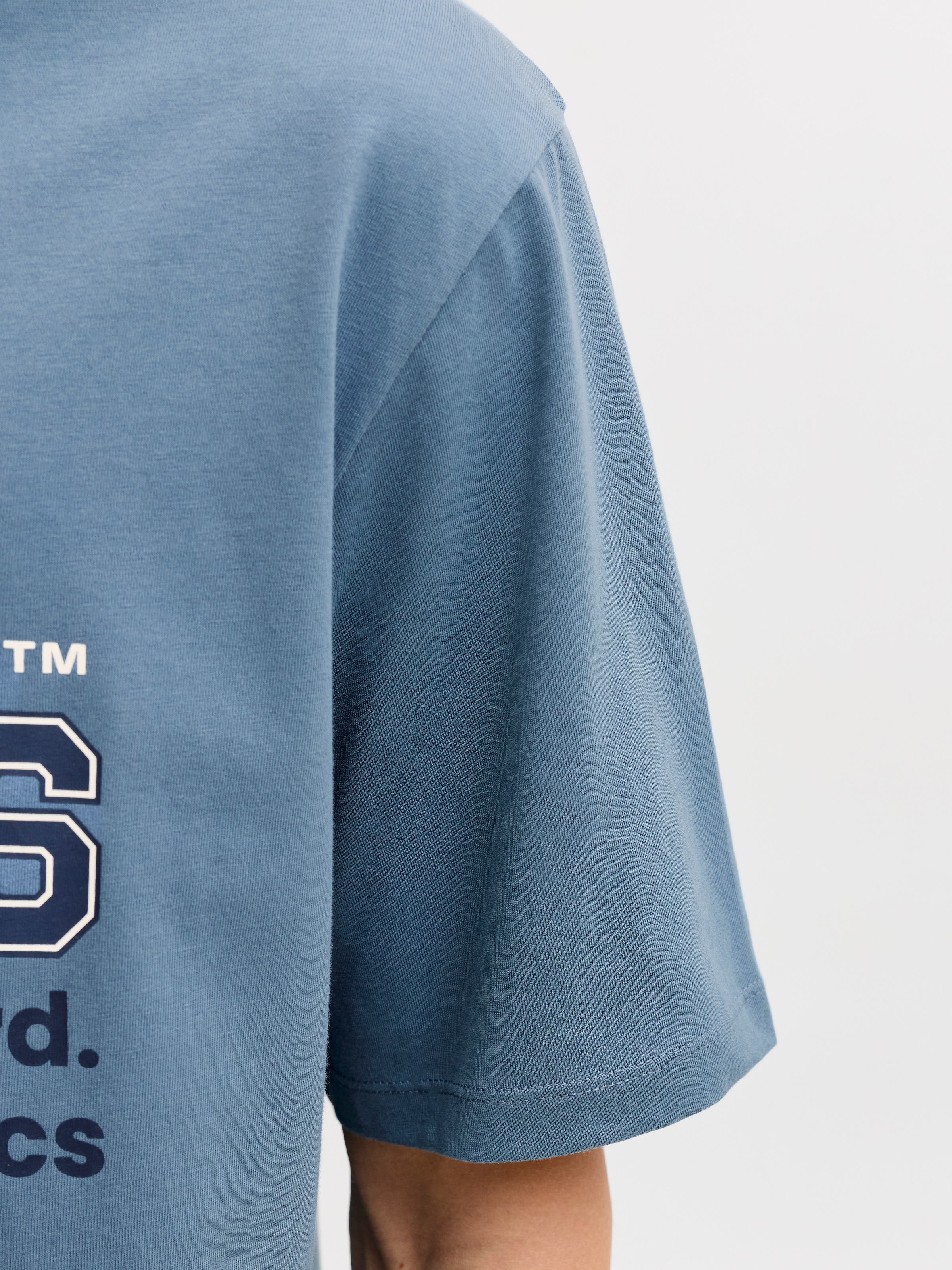 Jack & Jones PlusSize Rundhalsshirt »JJELOGO TEE SS O-NECK 2 COL SS26 SN PLS« mit auffälligem Print