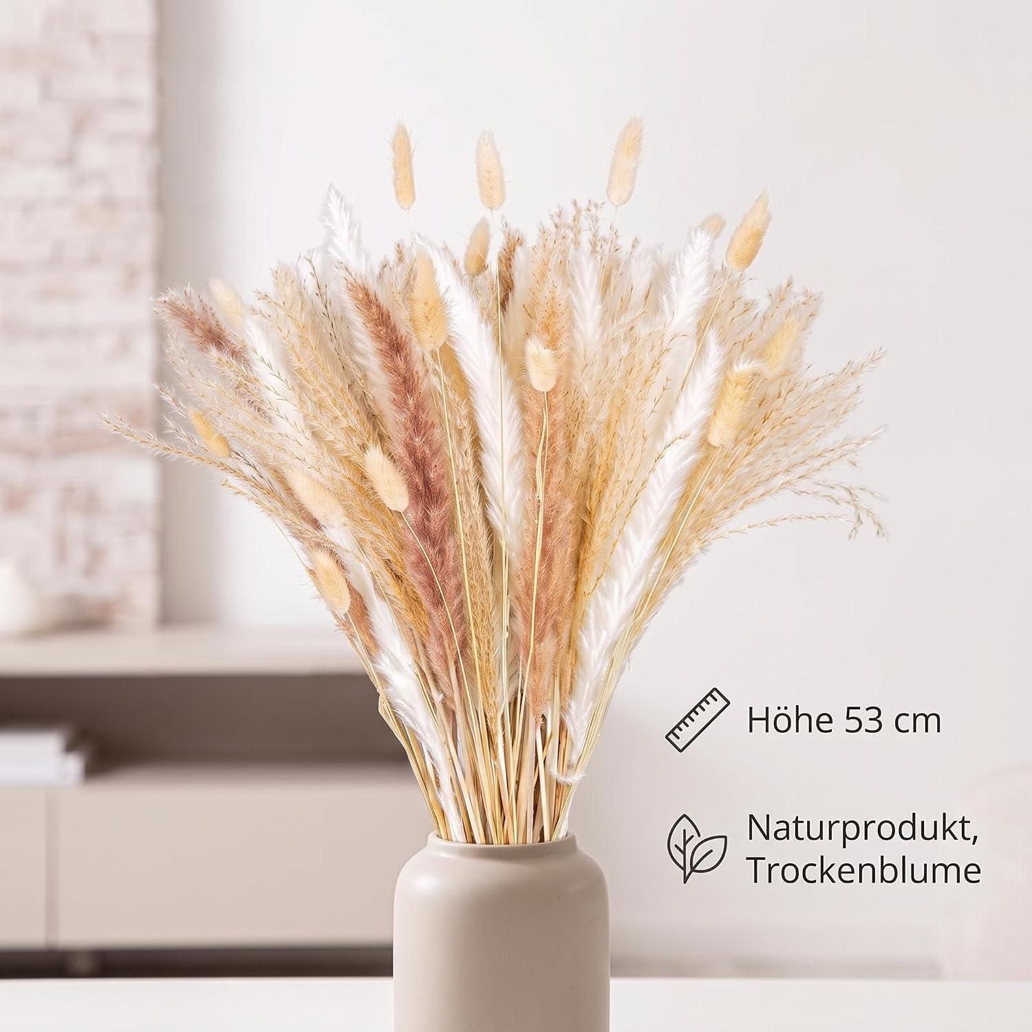 GILDE Dekoobjekt »Bündel Trockenblume Seco naturfarben H. 53 cm«