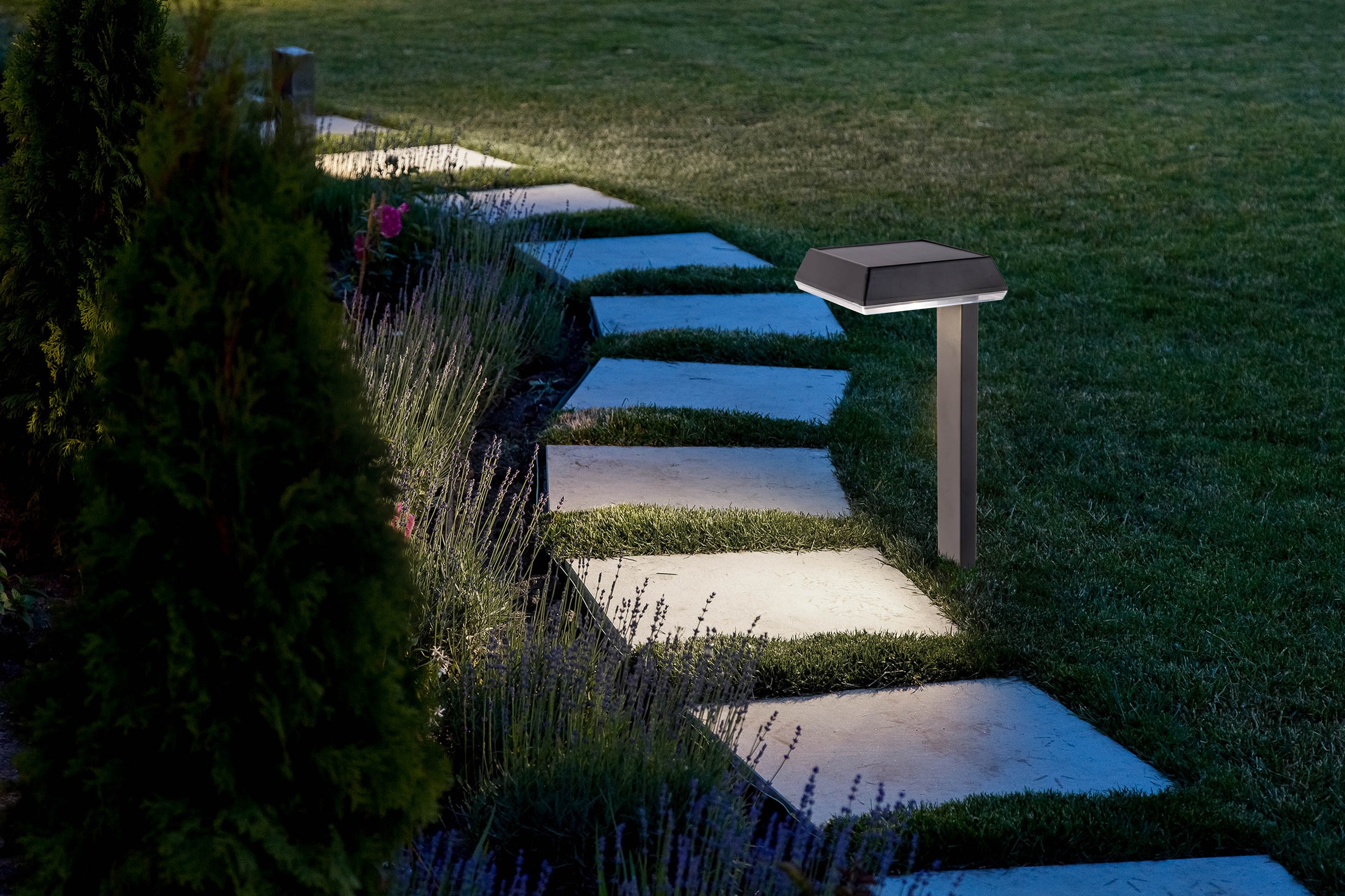 näve LED Solarleuchte »Sigi« LED-Modul 1 Stk. Warmweiß Dekoerdspieß, H: 79cm, Dämmerungssensor, schwarz, LED warmweiß