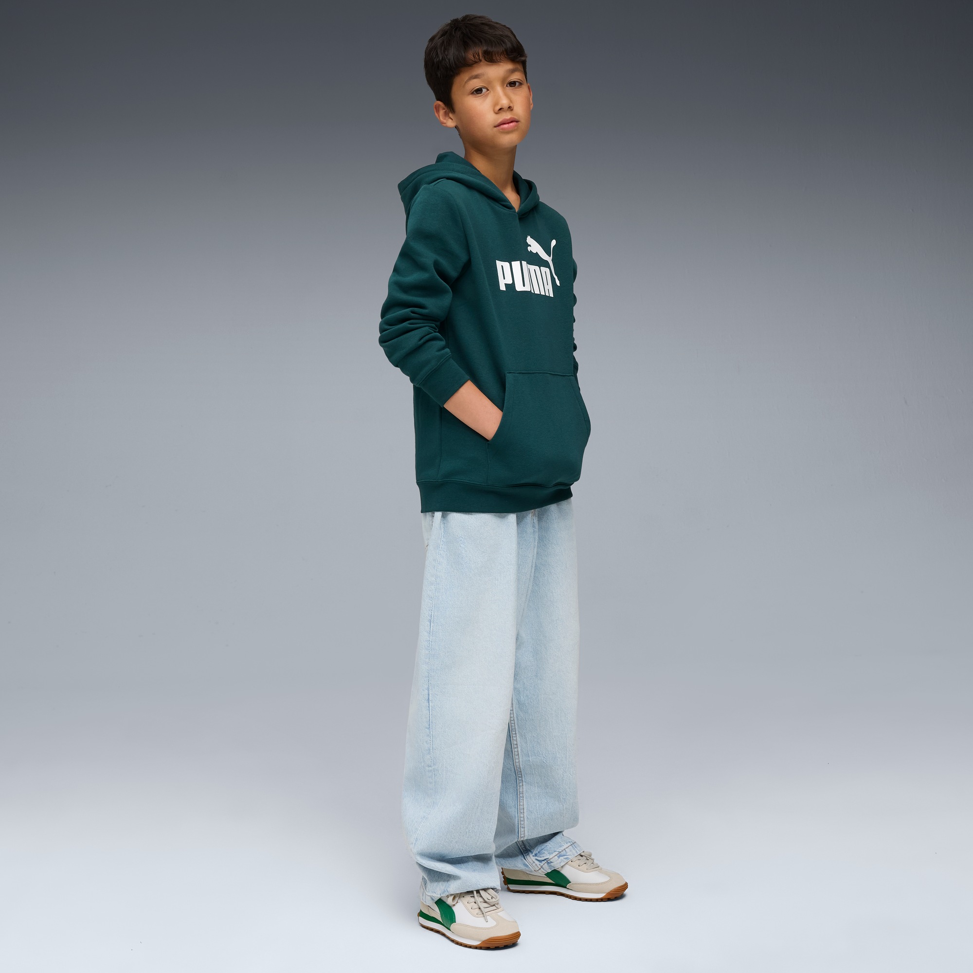 PUMA Kapuzensweatshirt »ESS NO. 1 LOGO HOODIE FL B«