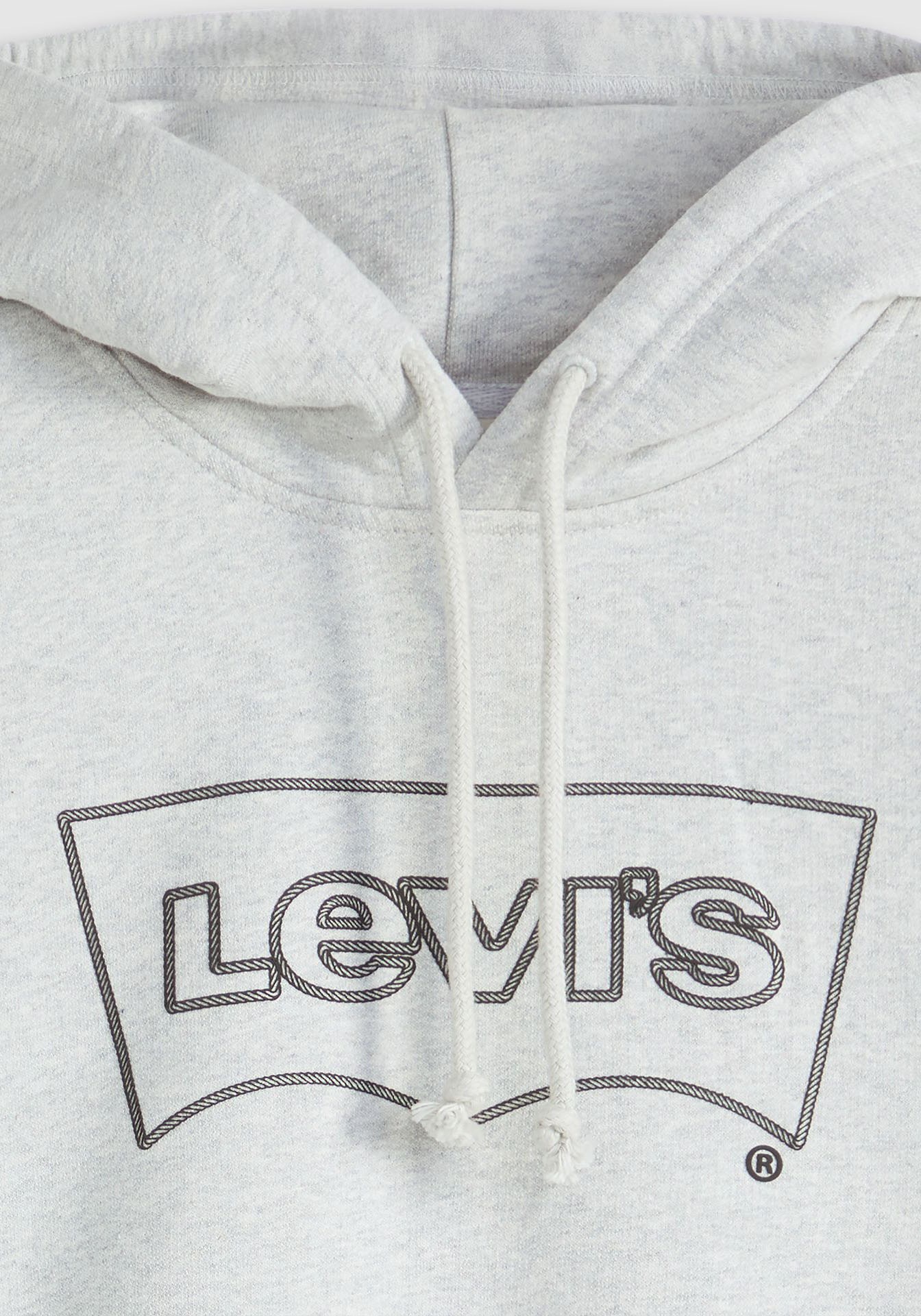Levi's® Hoodie »STANDARD GRAPHIC HOOD«, mit Kängurutasche