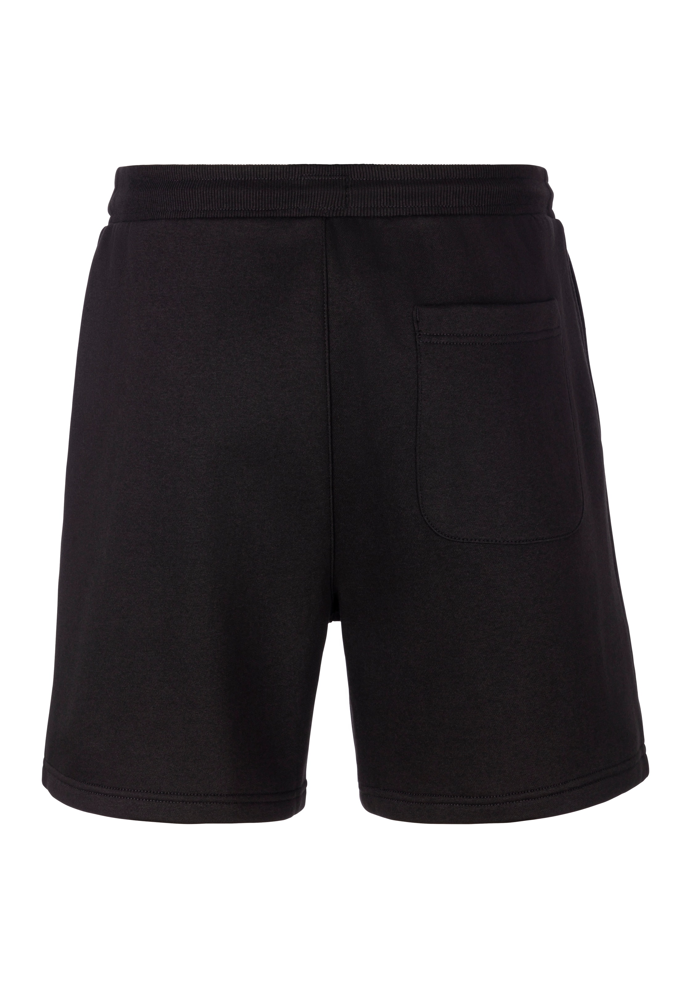 Tommy Jeans Sweatshorts »TJM S FLAG BEACH SHORT EXT«
