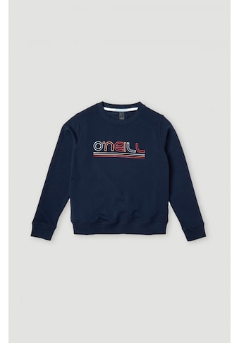 O'Neill Sweatshirt »ALL YEAR CREW« kaufen
