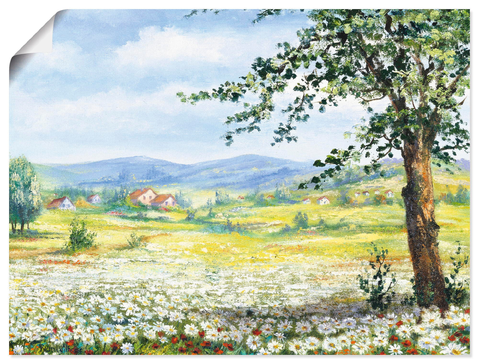 Artland Wandbild »Margeritenfeld«, Wiesen & Bäume, (1 St.), als Leinwandbild,  Wandaufkleber oder Poster in versch. Größen online bei OTTO