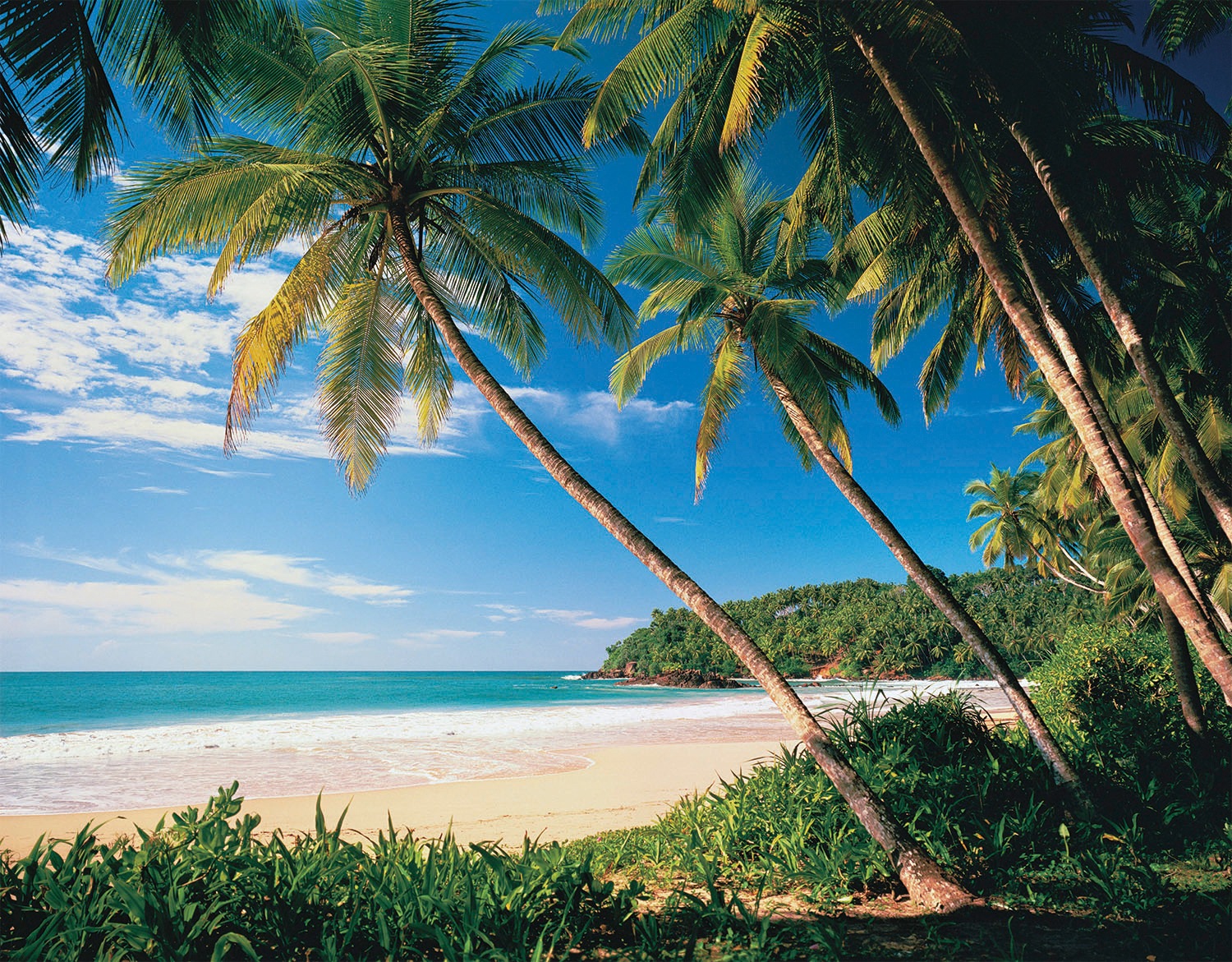 Papermoon Fototapete »Palmbeach«