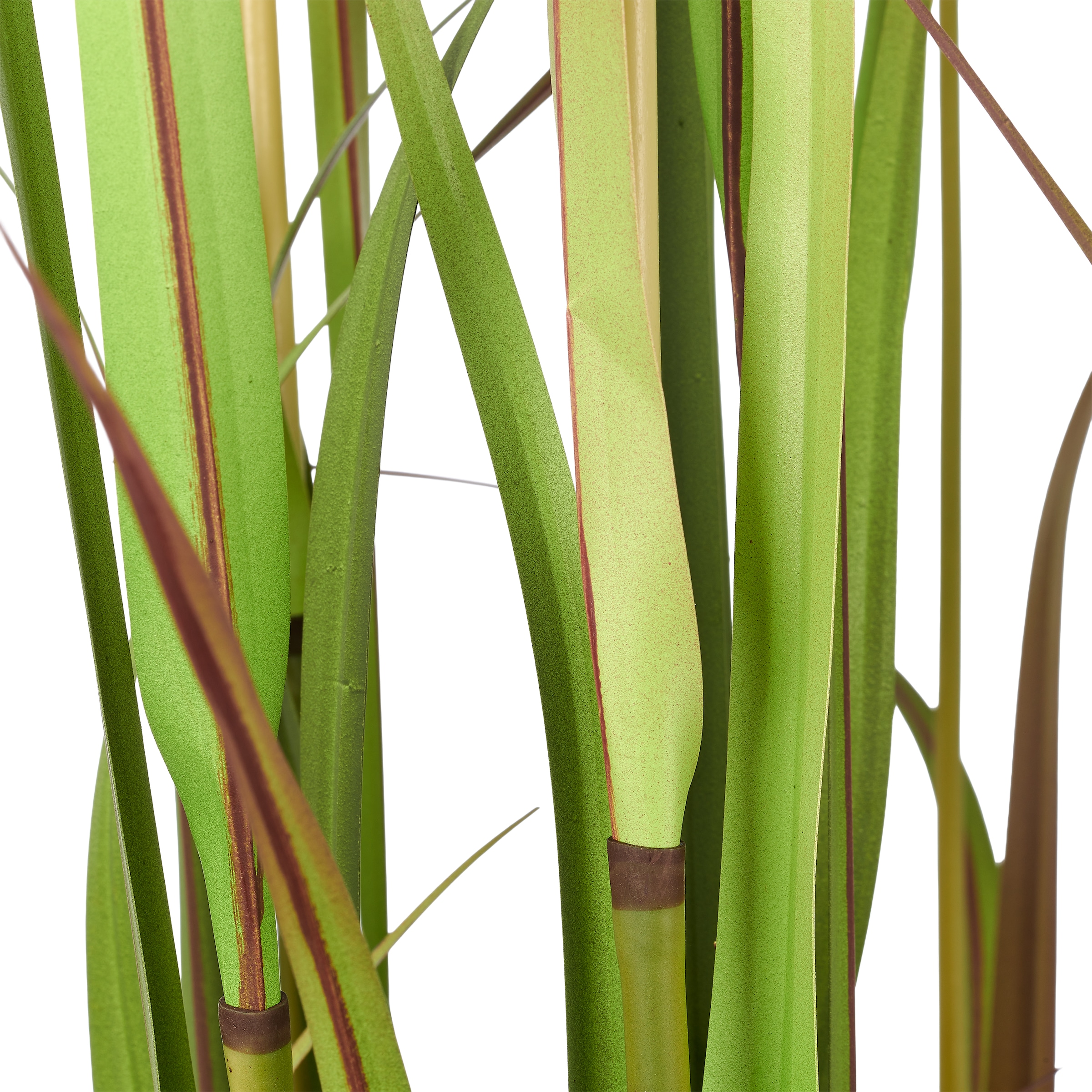 Creativ green Kunstgras »Grasbusch Cortaderia jubata« in toller Größe