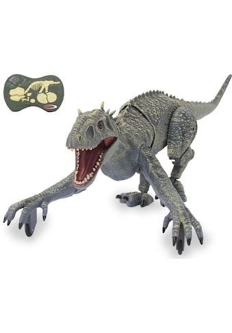 Jamara RC-Tier »Dinosaurier Exoraptor, Li-Ion 3,7V, 2,4GHz, grau«, mit Licht und Sound kaufen